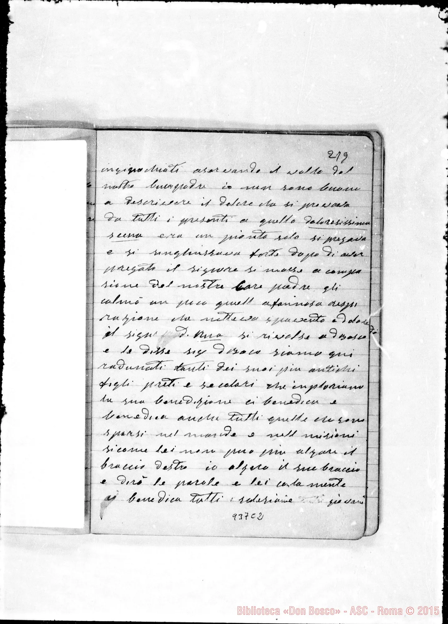 Fotogramma C 2