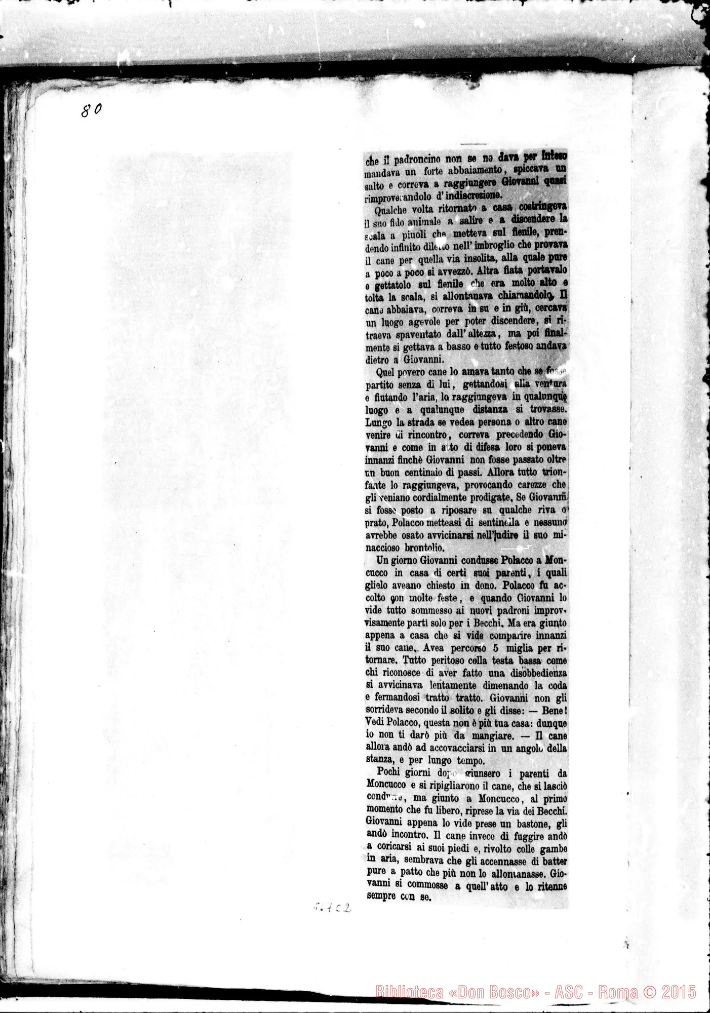 Fotogramma C 2