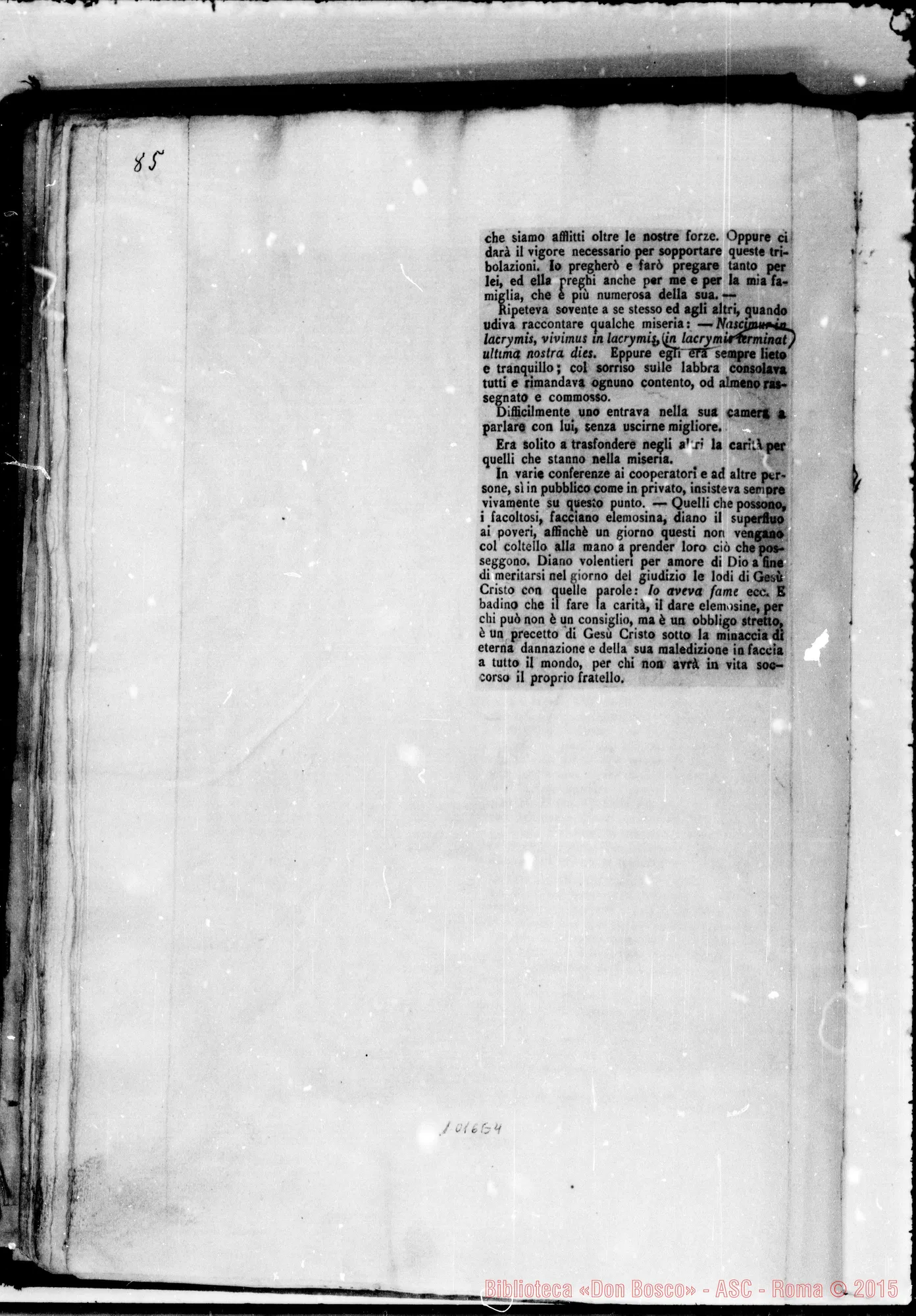 Fotogramma E 4