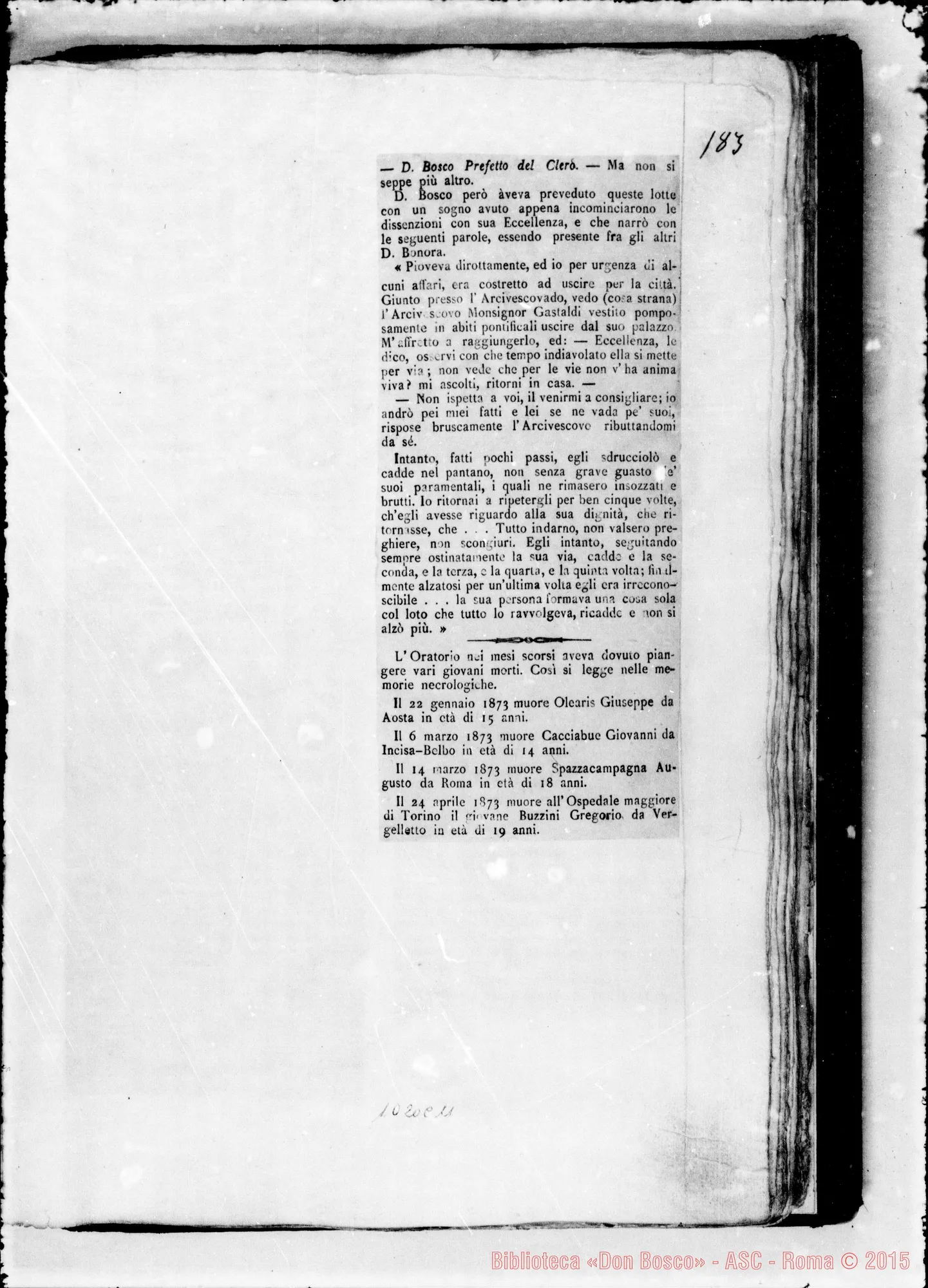 Fotogramma C 11