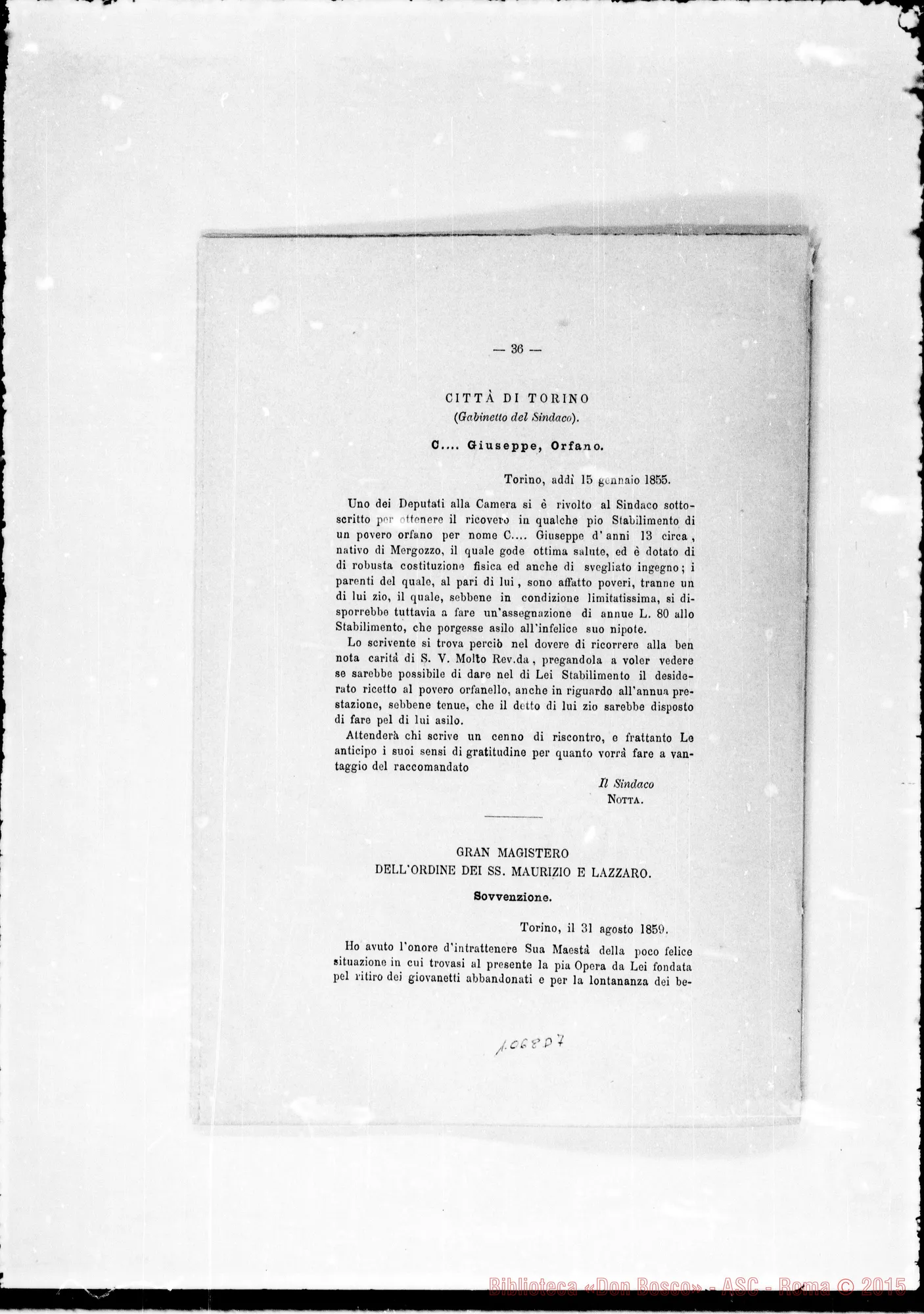 Fotogramma D 7 — » Vol. XXI, 1879.