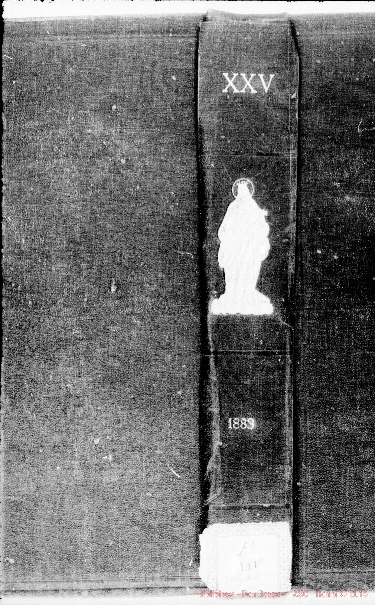 Fotogramma A 2 — » Vol. XXV, 1883.