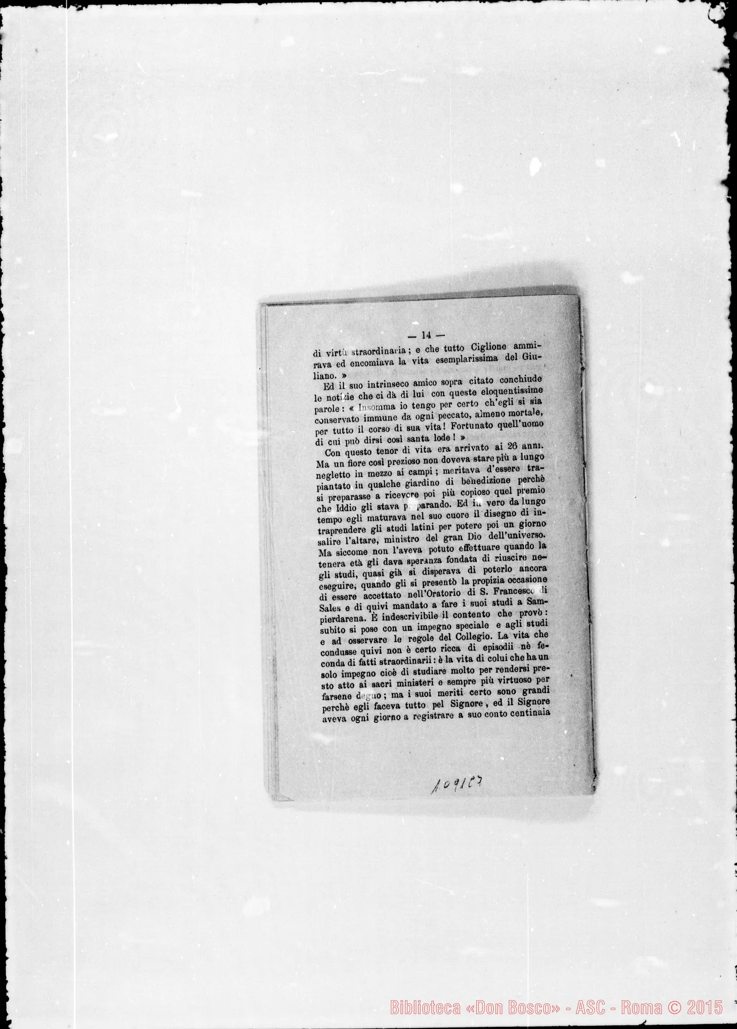 Fotogramma C 7