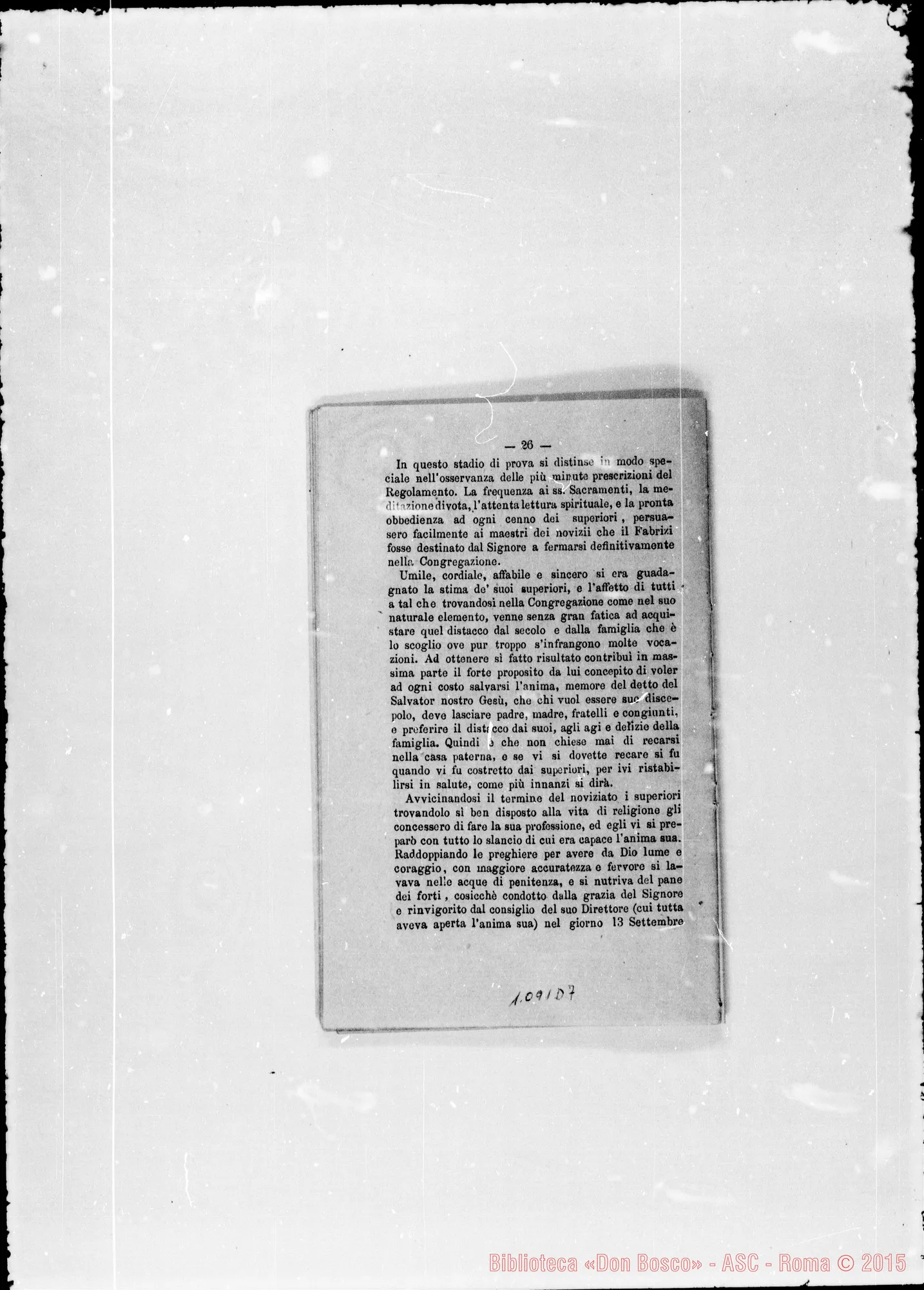 Fotogramma D 7
