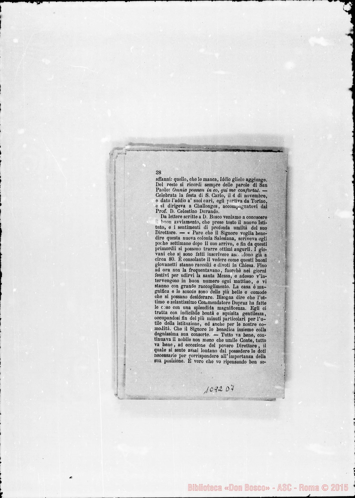 Fotogramma D 7
