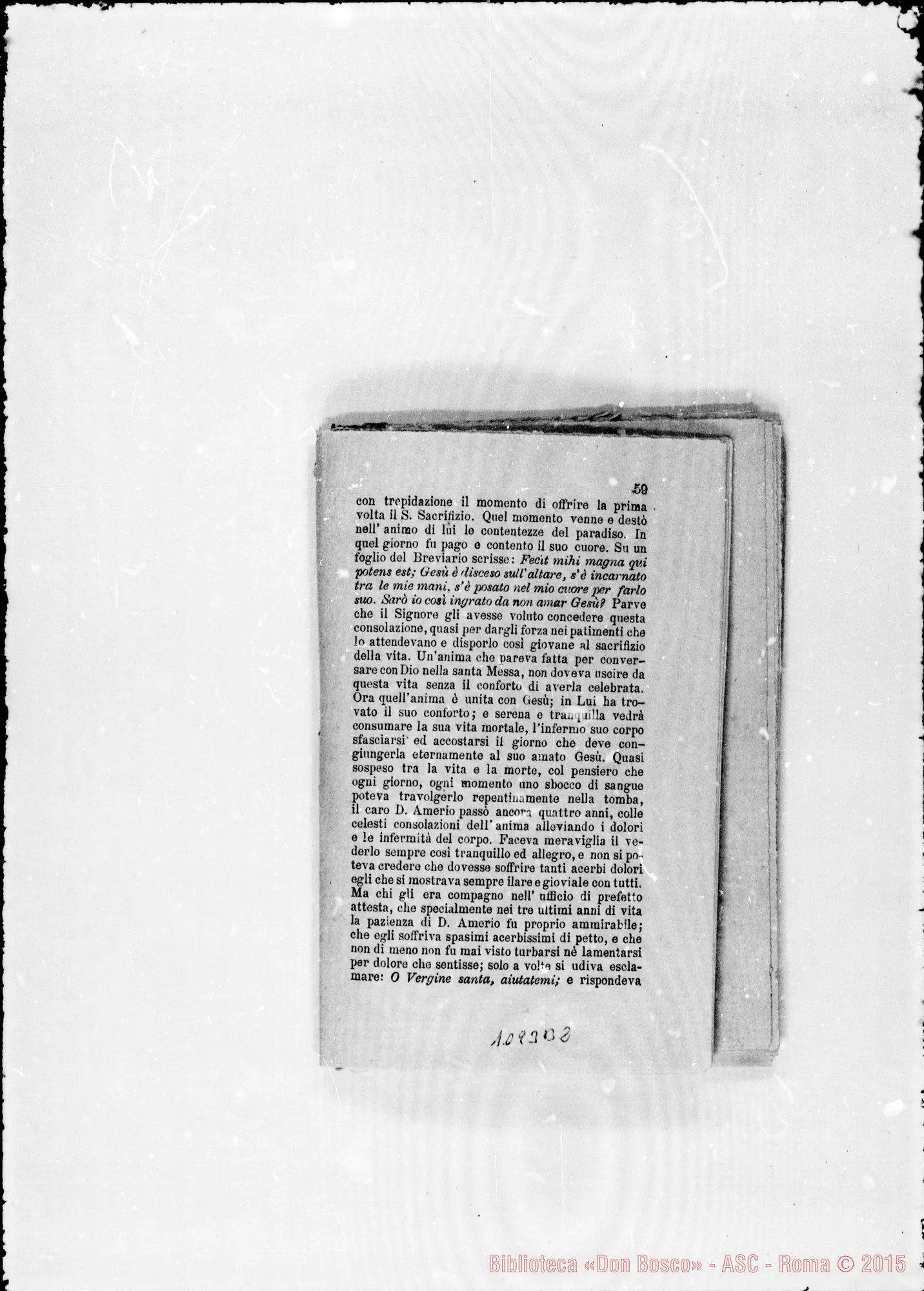 Fotogramma B 2