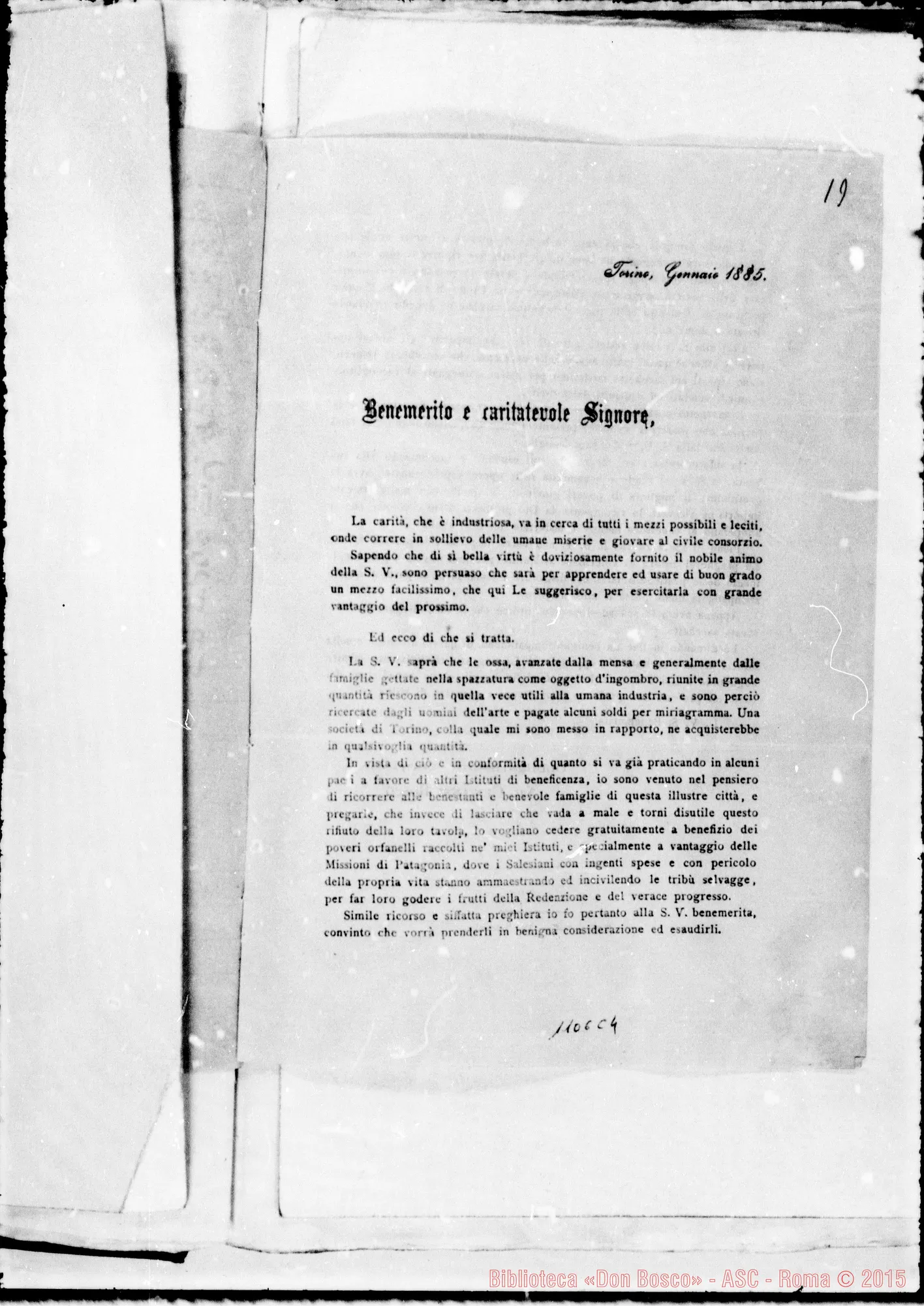 Fotogramma C 4 — » Vol. XXIX, 1885.