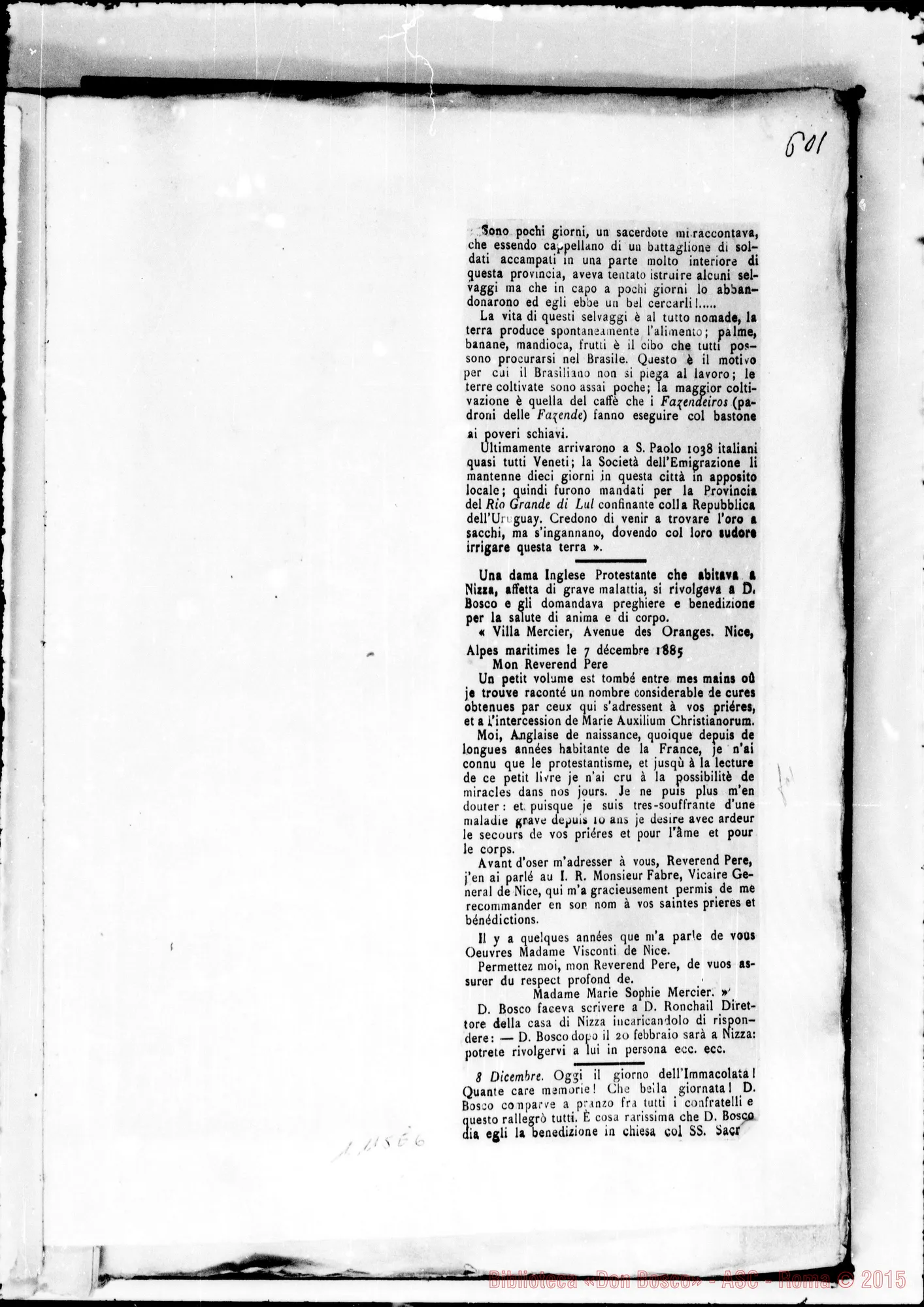 Fotogramma E 6