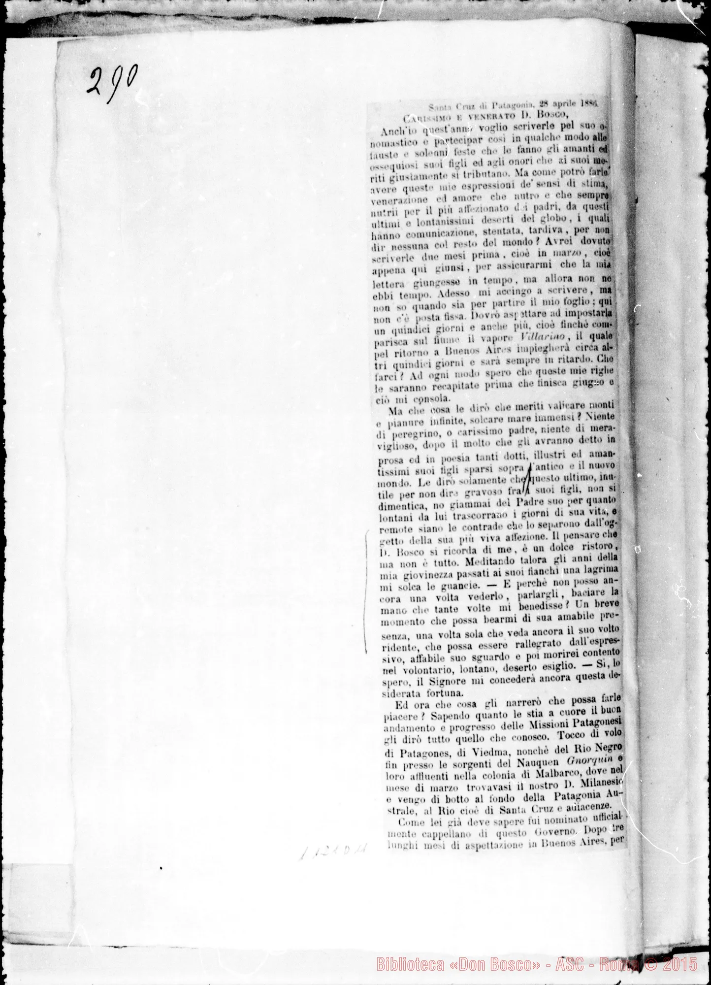 Fotogramma D 11
