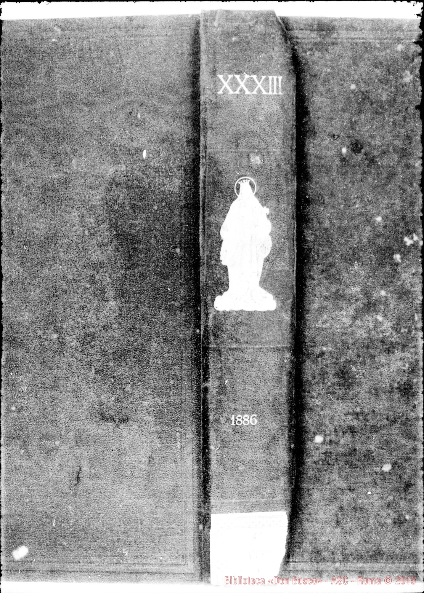 Fotogramma D 12 — » Vol. XXXIII, 1886.