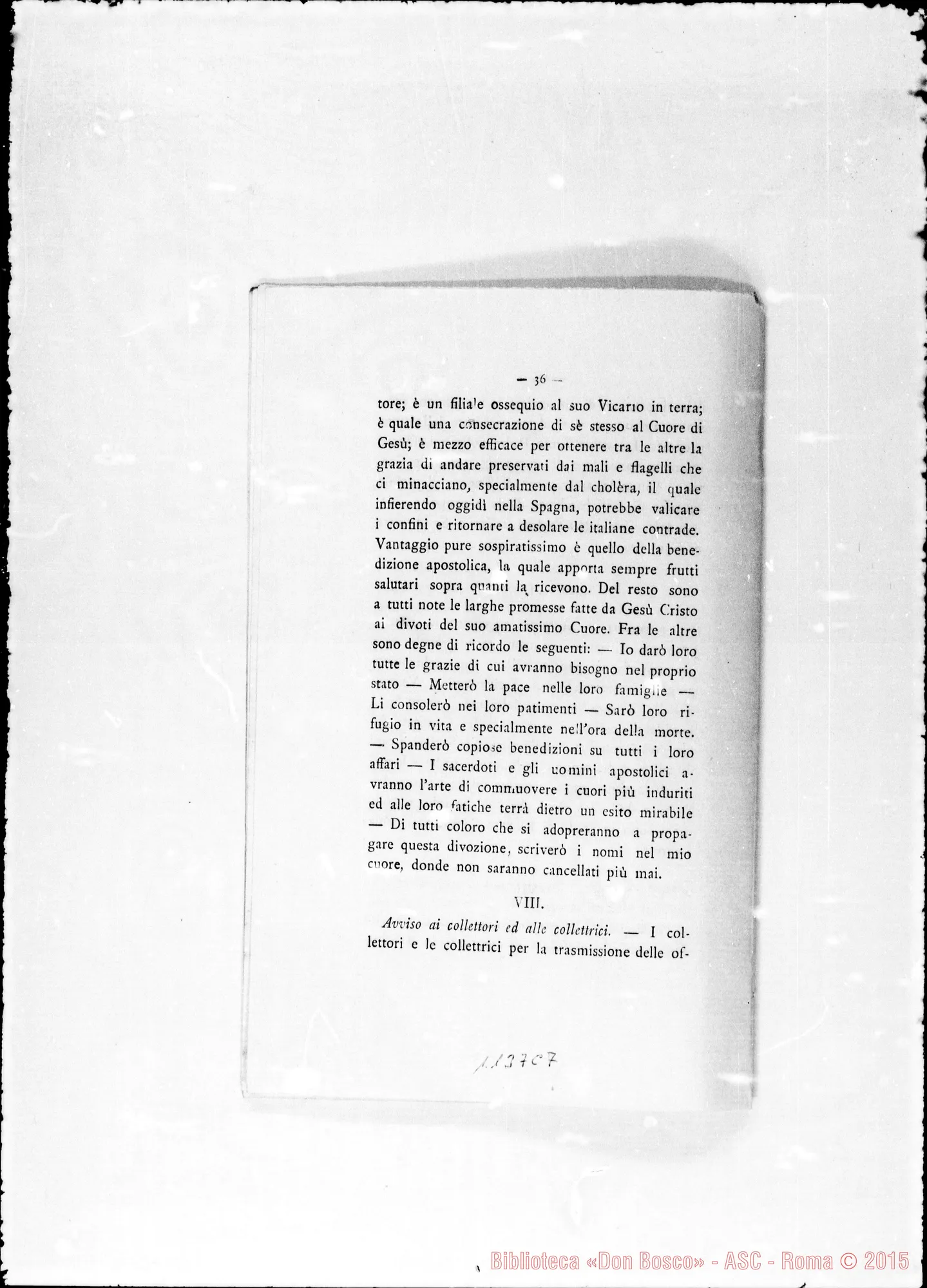 Fotogramma C 7