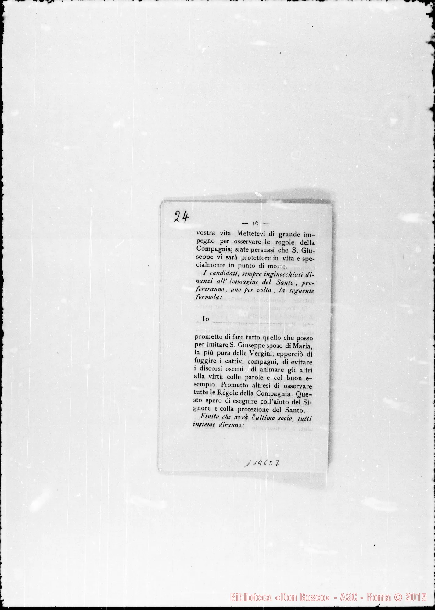 Fotogramma D 7 — » Vol. XXXVII, 1888.