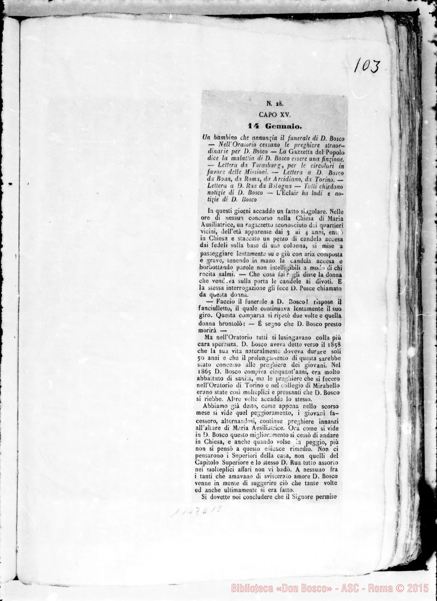 Fotogramma E 12