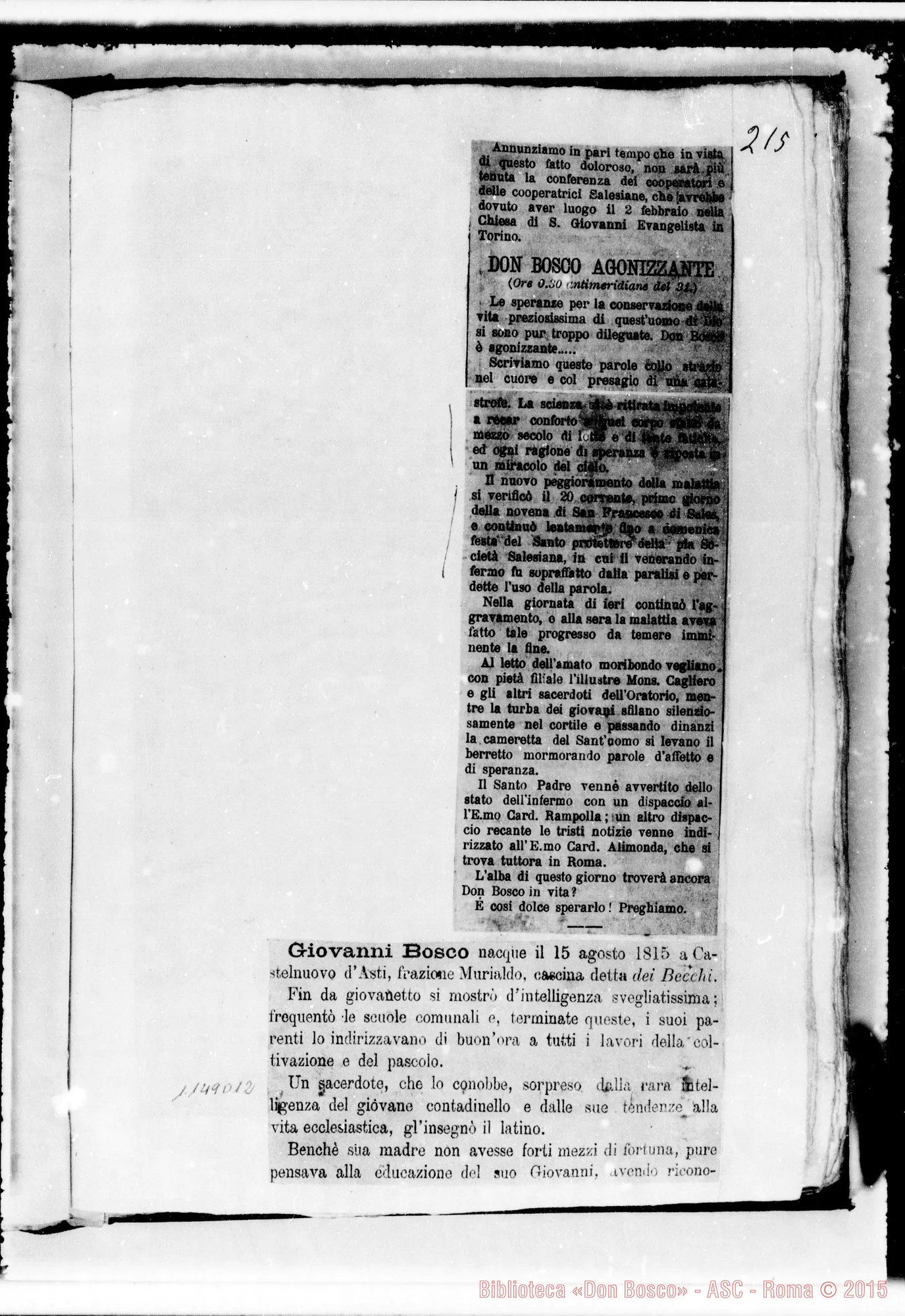 Fotogramma D 12