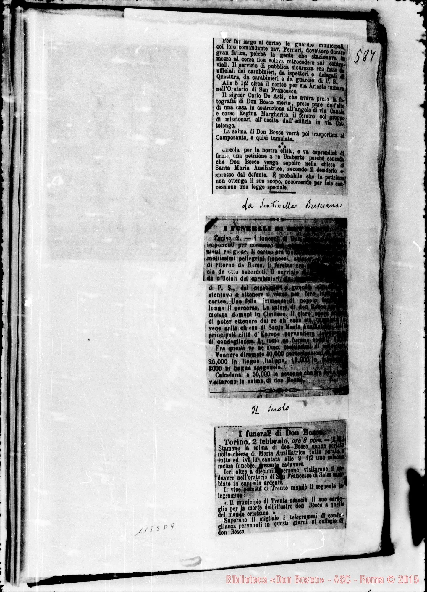 Fotogramma D 9