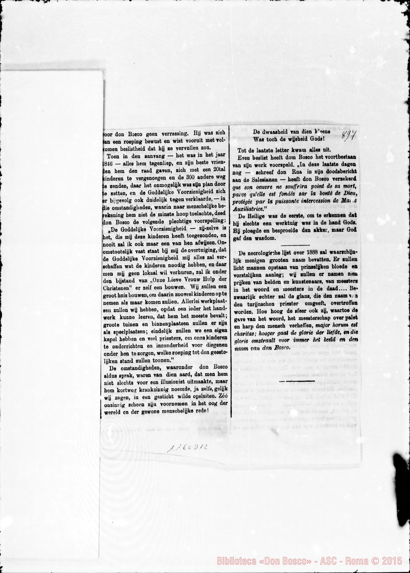 Fotogramma D 12