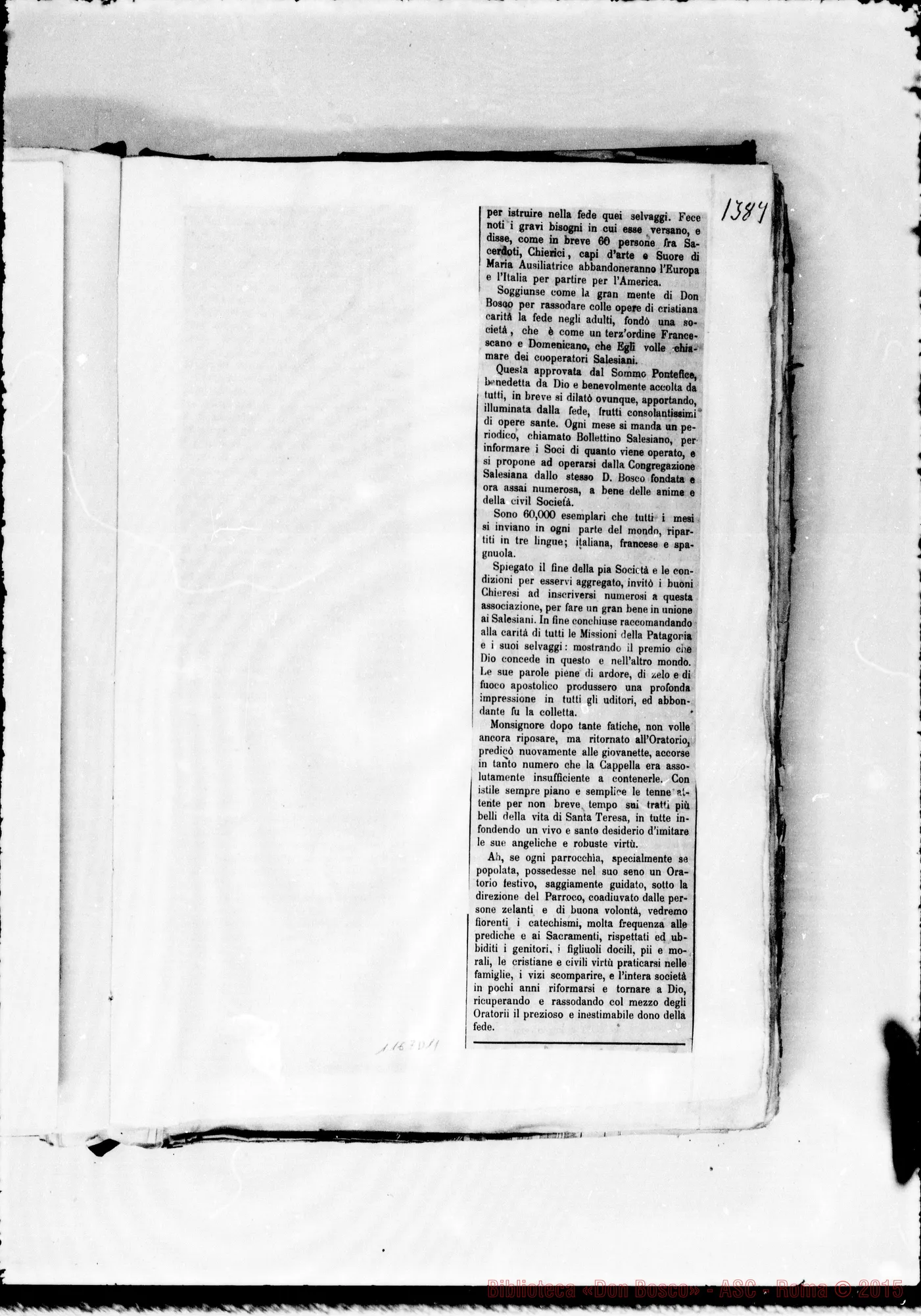 Fotogramma D 11