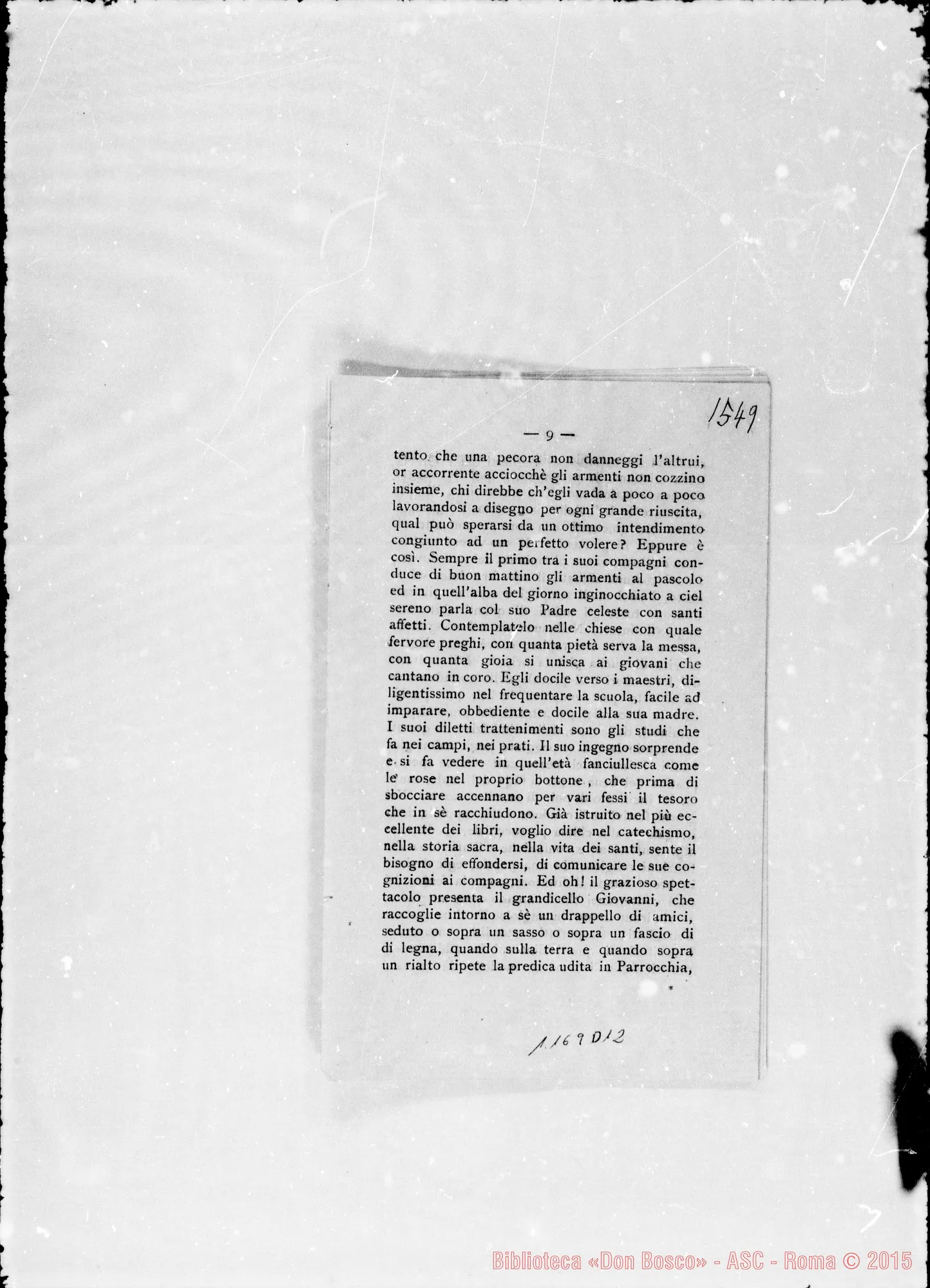 Fotogramma D 12