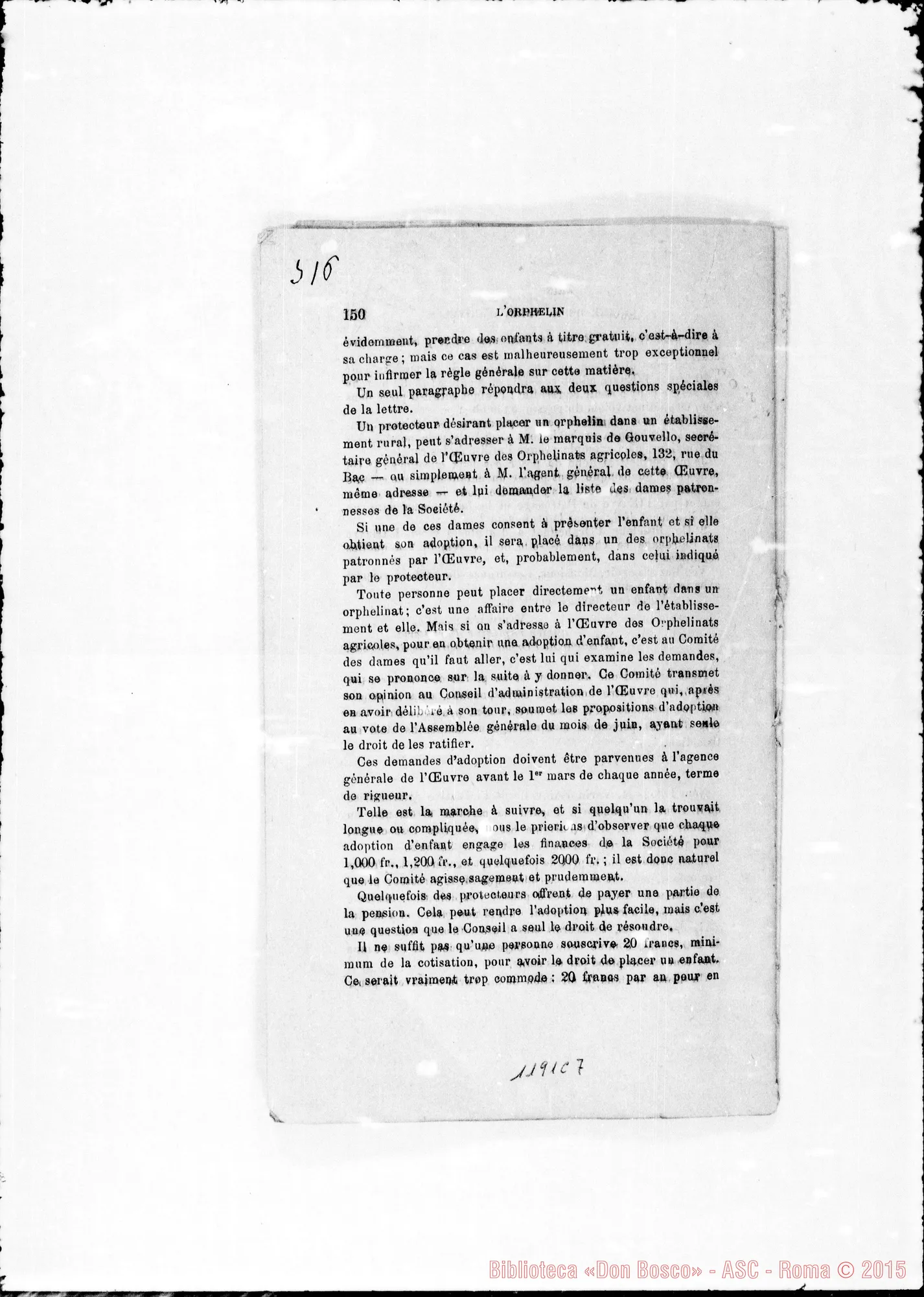 Fotogramma C 7