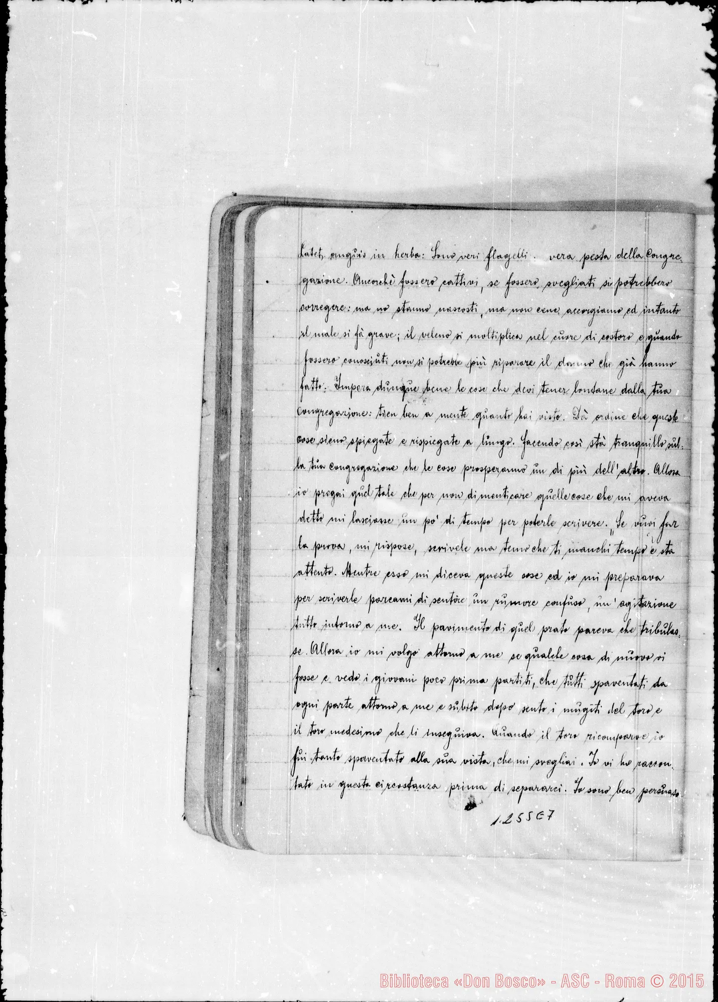 Fotogramma E 7