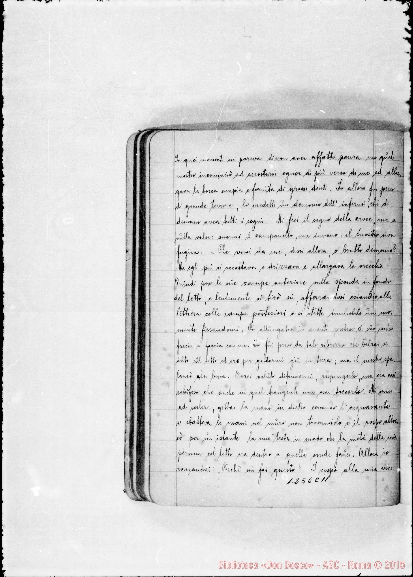Fotogramma C 11