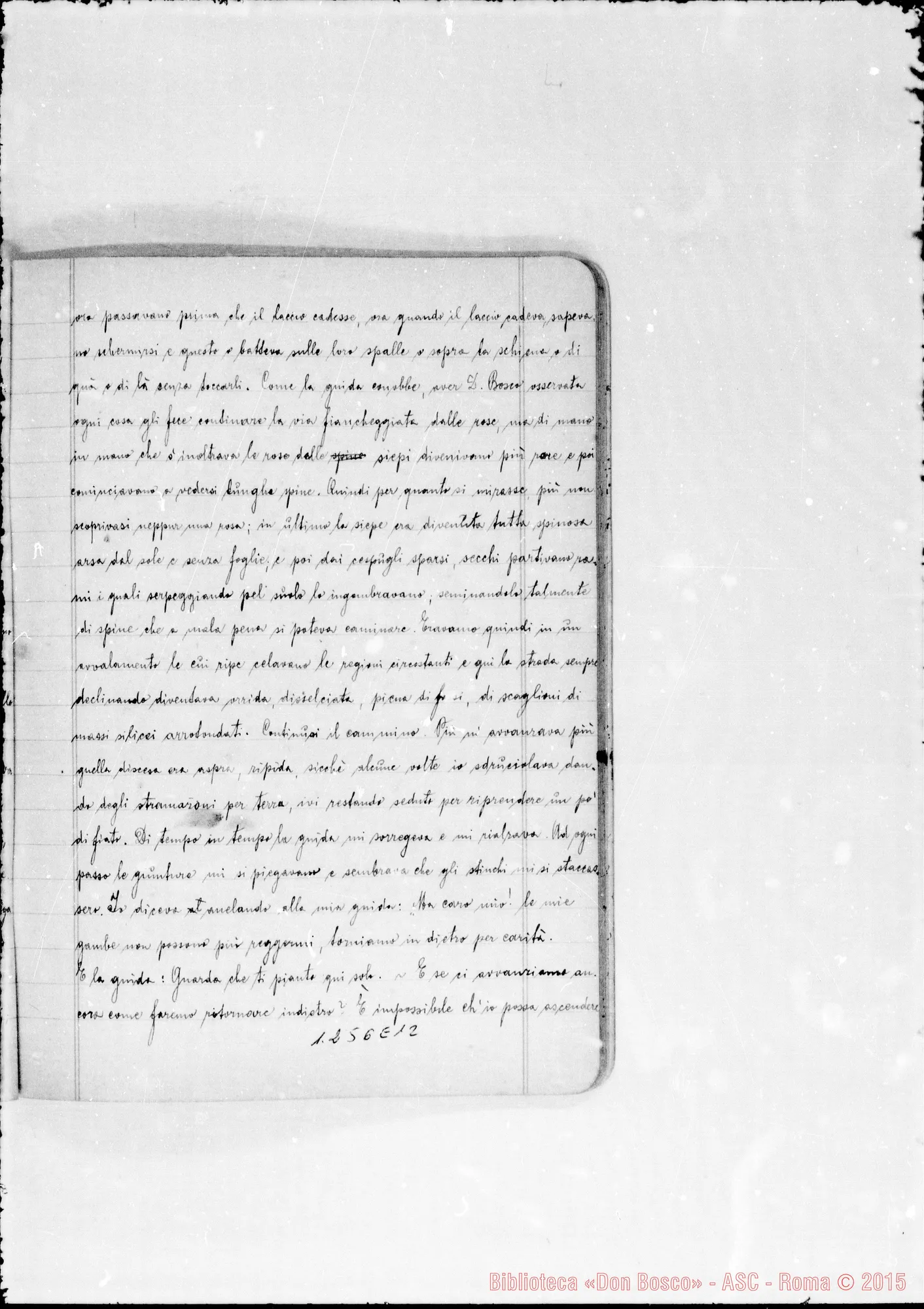 Fotogramma E 12
