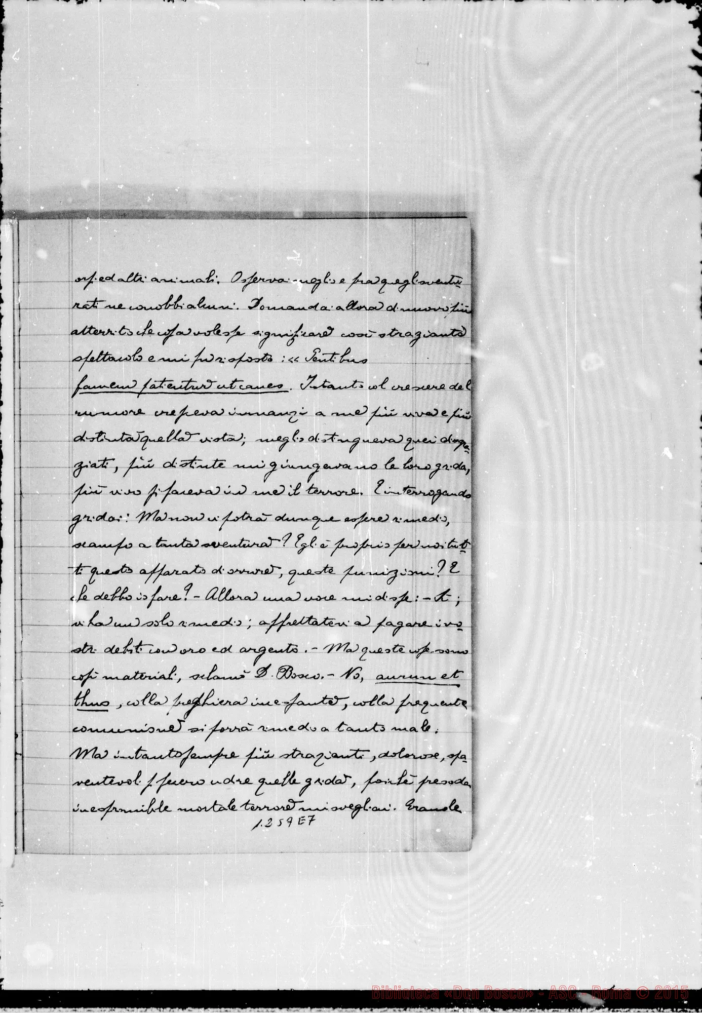 Fotogramma E 7 — Quaderno II. A matita: D. P. Tirone…