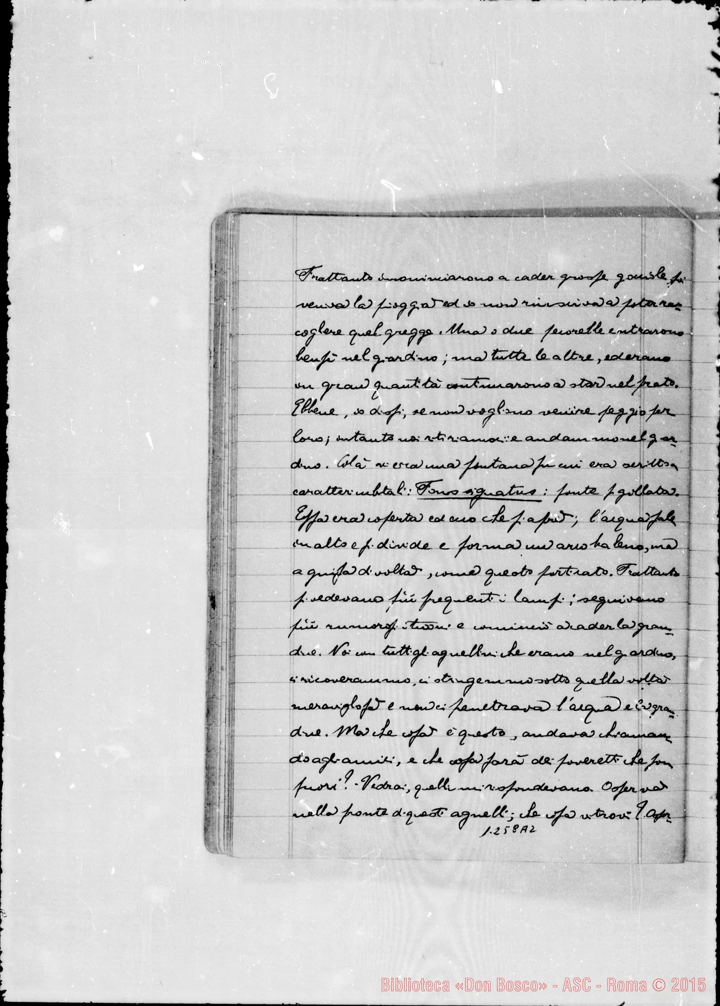 Fotogramma A 2 — Quaderno II. A matita: D. P. Tirone…