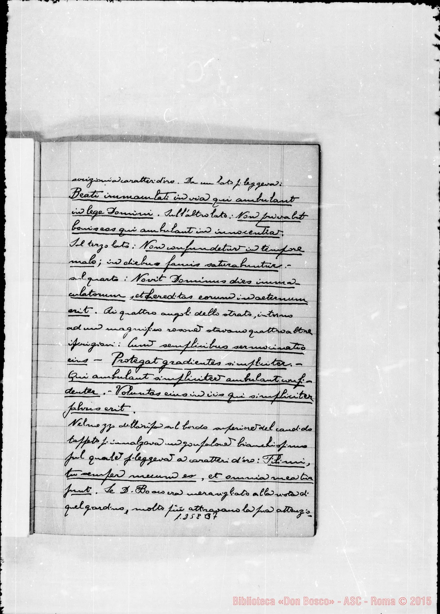 Fotogramma B 7 — Quaderno II. A matita: D. P. Tirone…