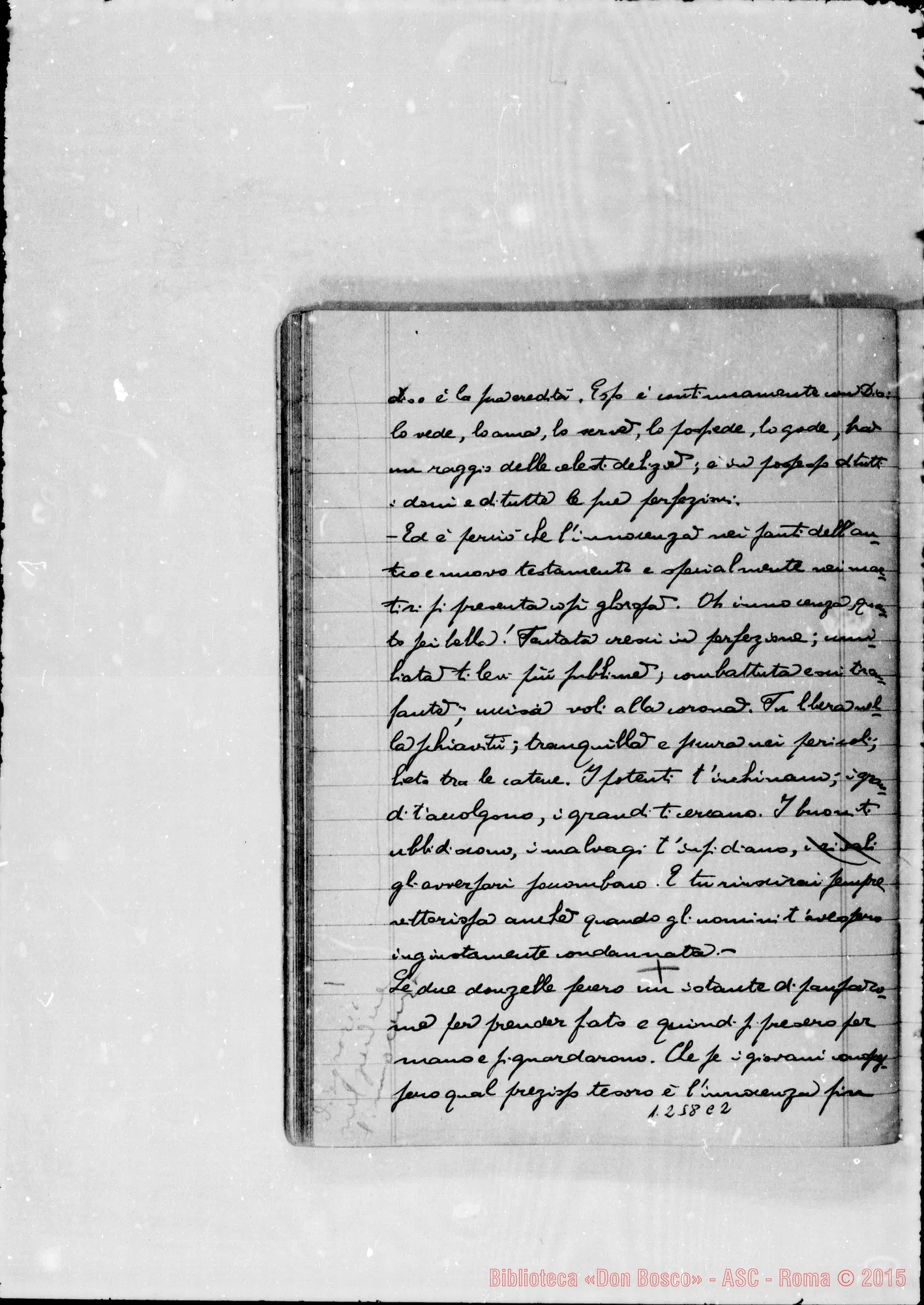 Fotogramma C 2 — Quaderno II. A matita: D. P. Tirone…