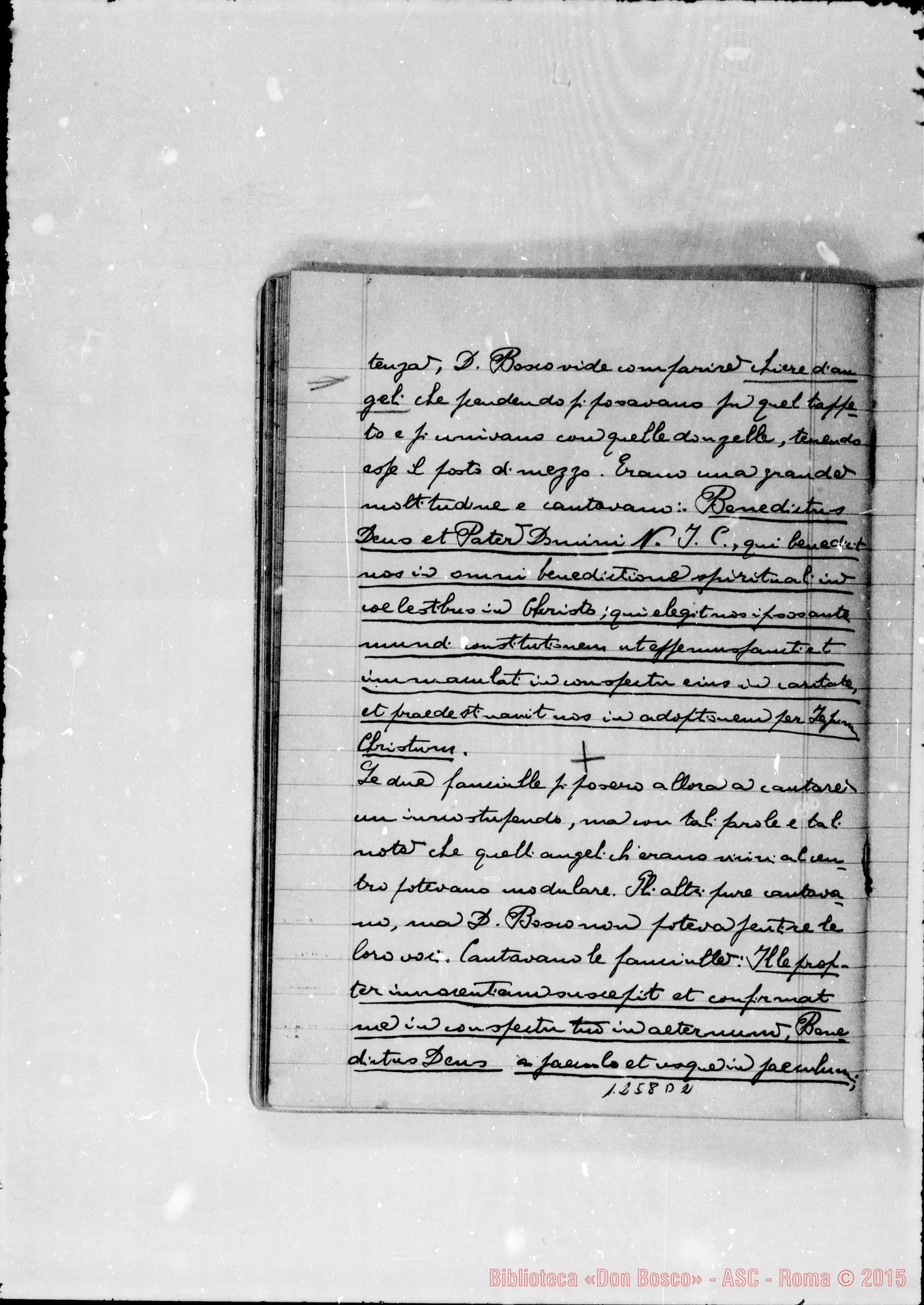 Fotogramma D 2 — Quaderno II. A matita: D. P. Tirone…