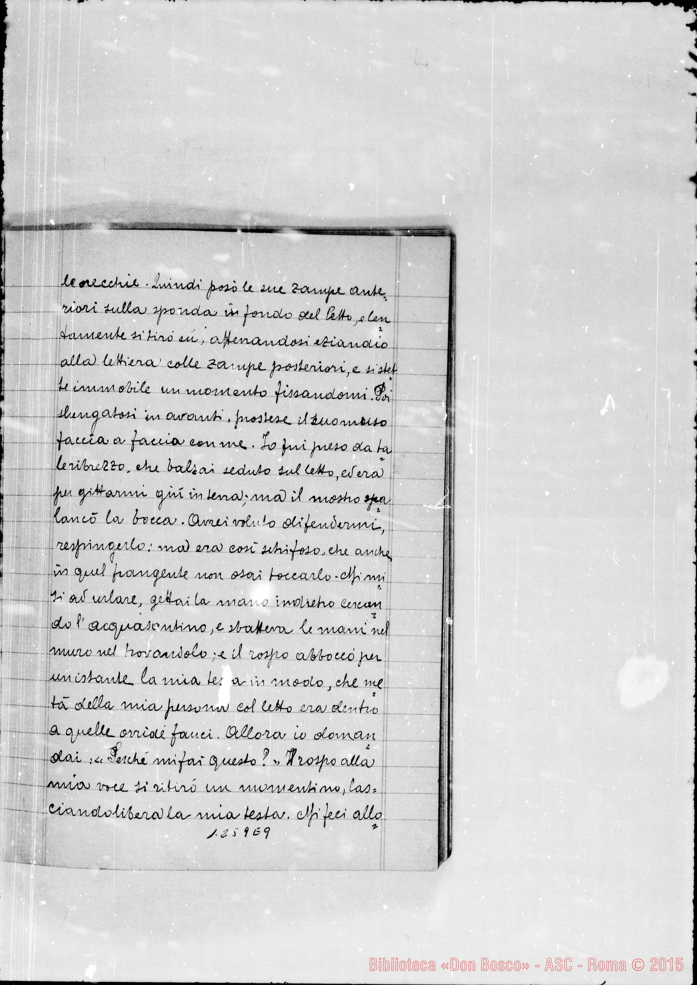 Fotogramma E 9