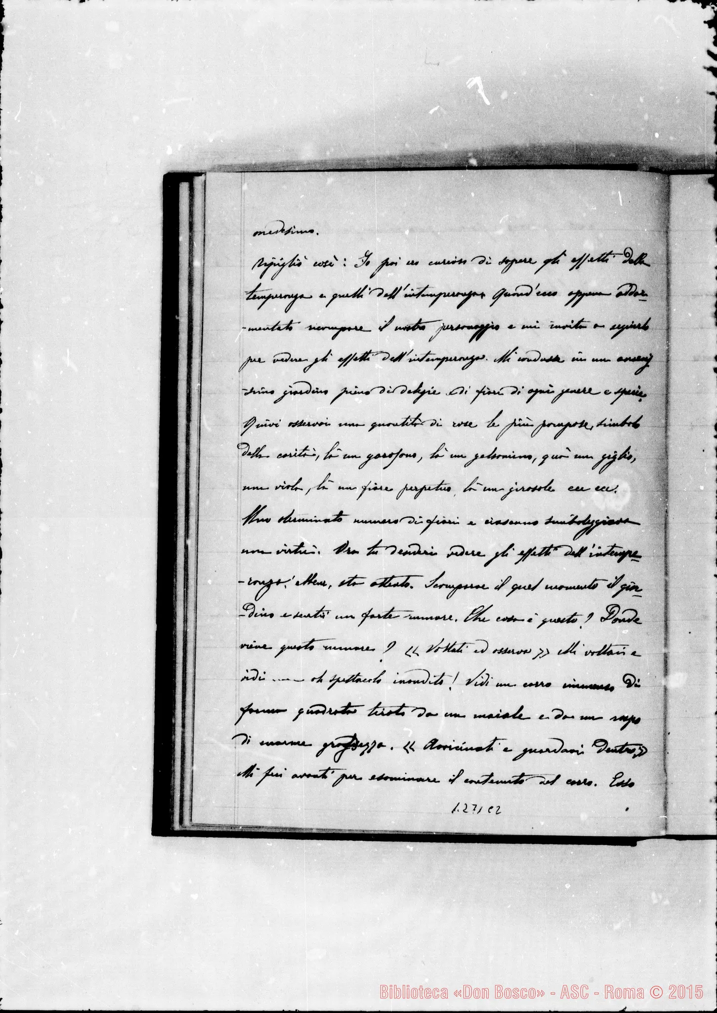 Fotogramma C 2