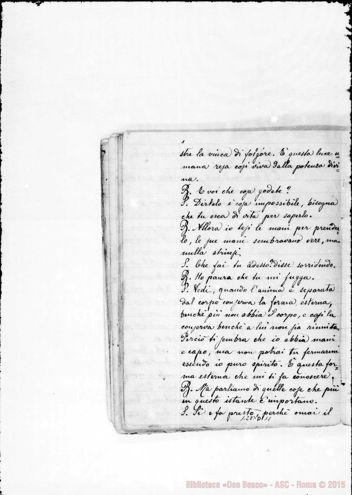 Fotogramma D 11