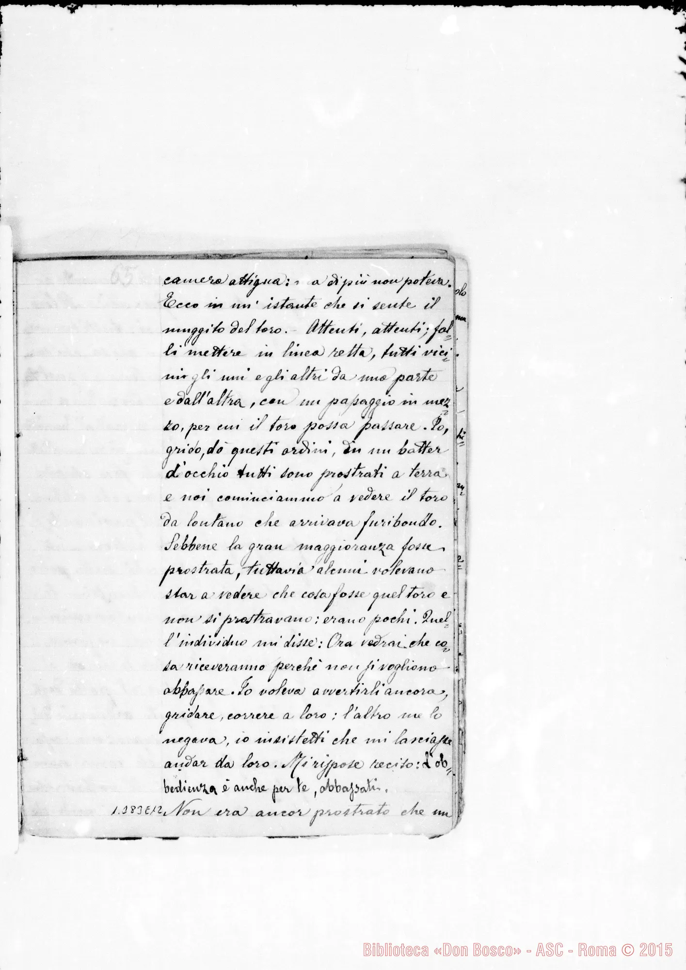 Fotogramma E 12
