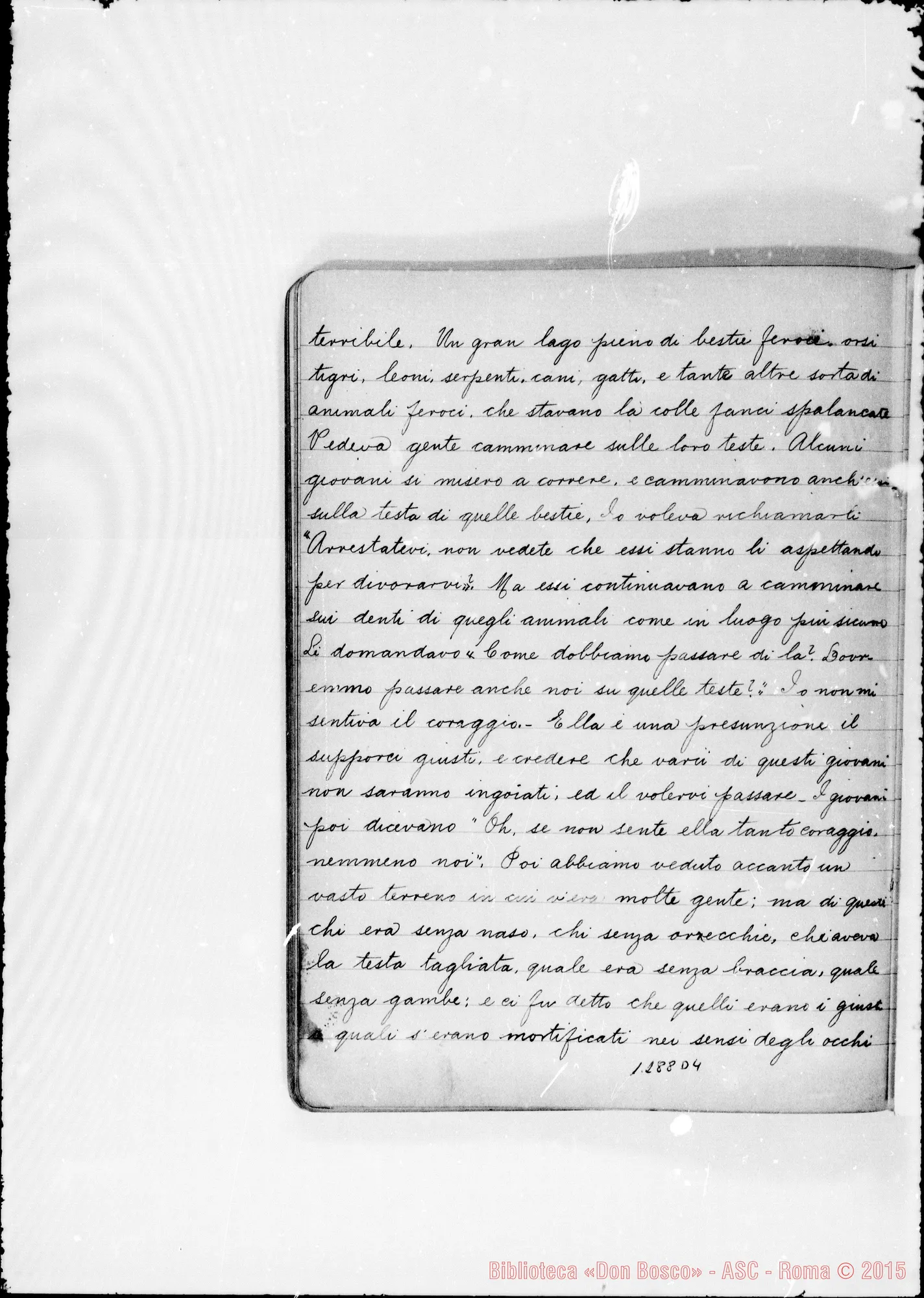 Fotogramma D 4