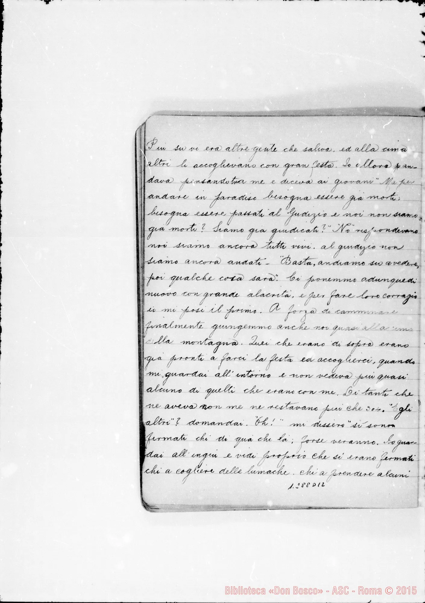 Fotogramma D 12