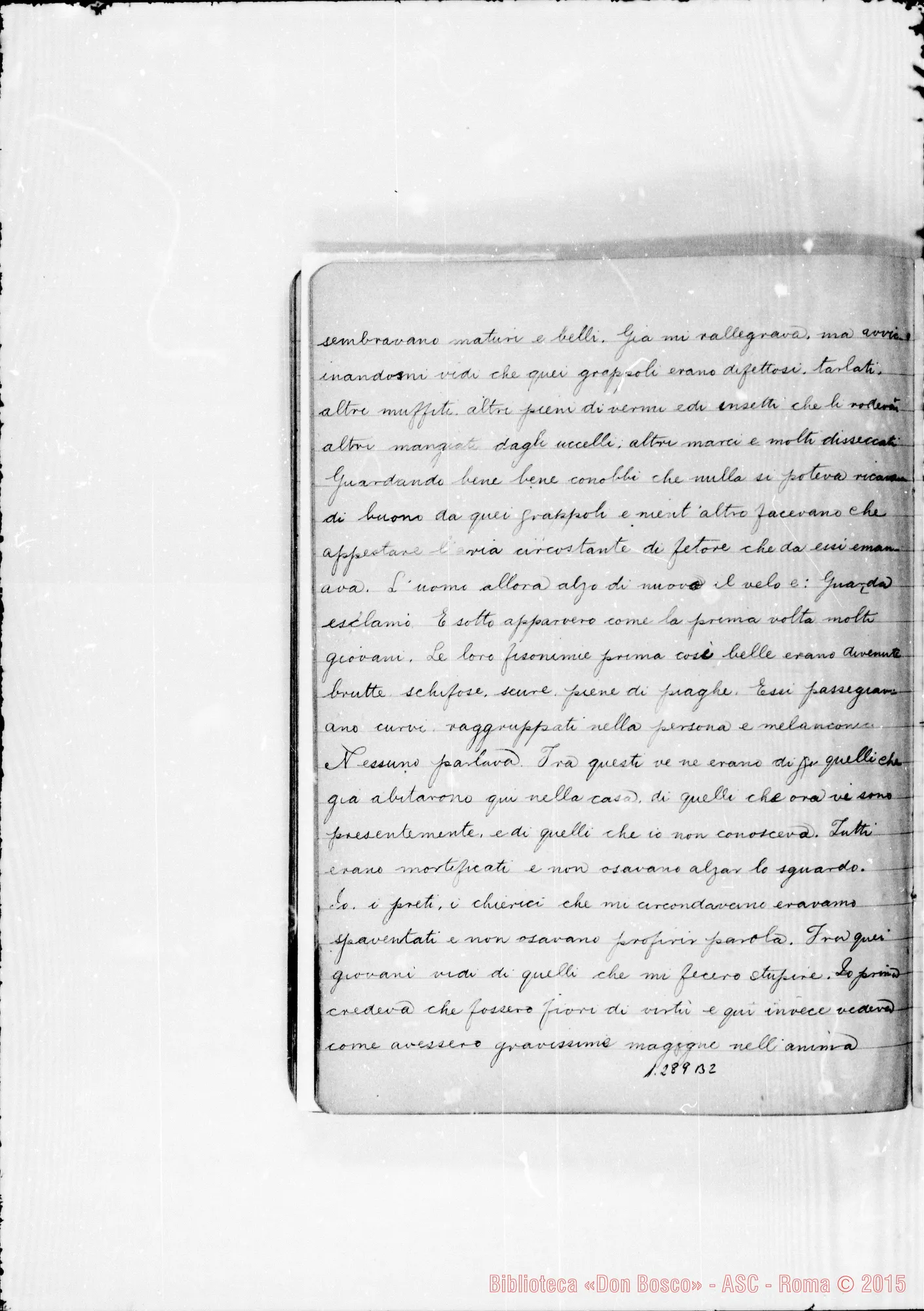 Fotogramma B 2