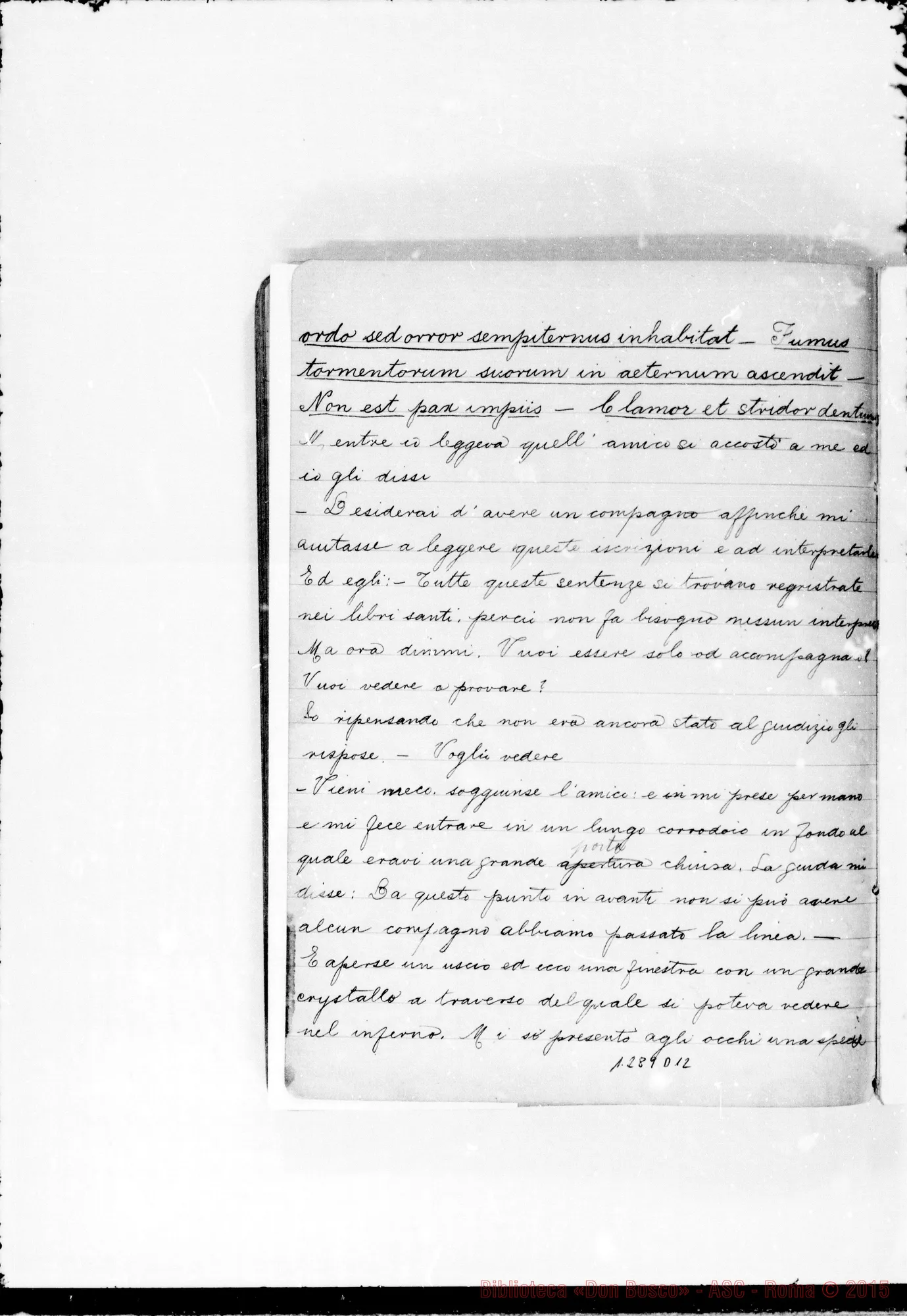 Fotogramma D 12