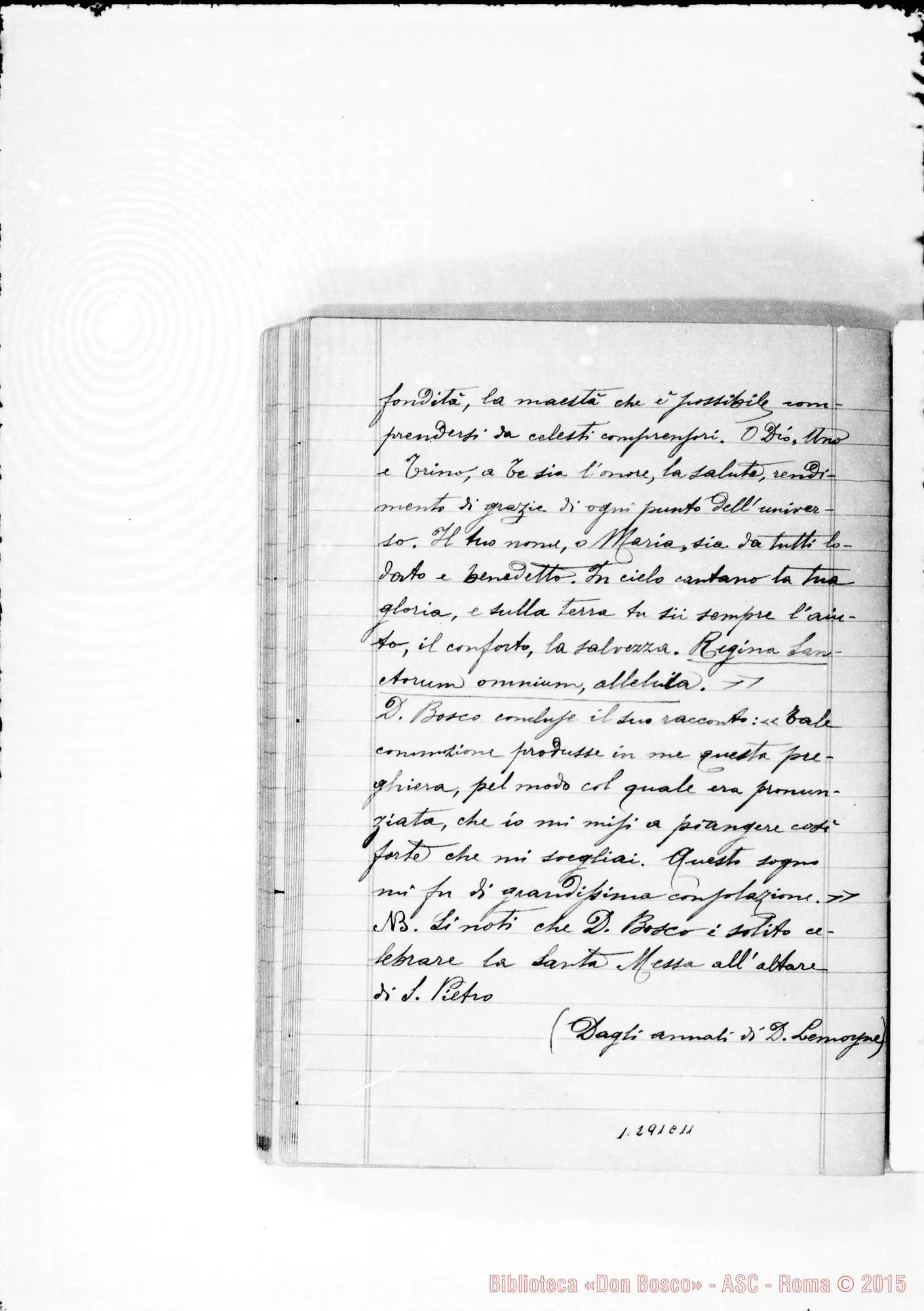 Fotogramma C 11