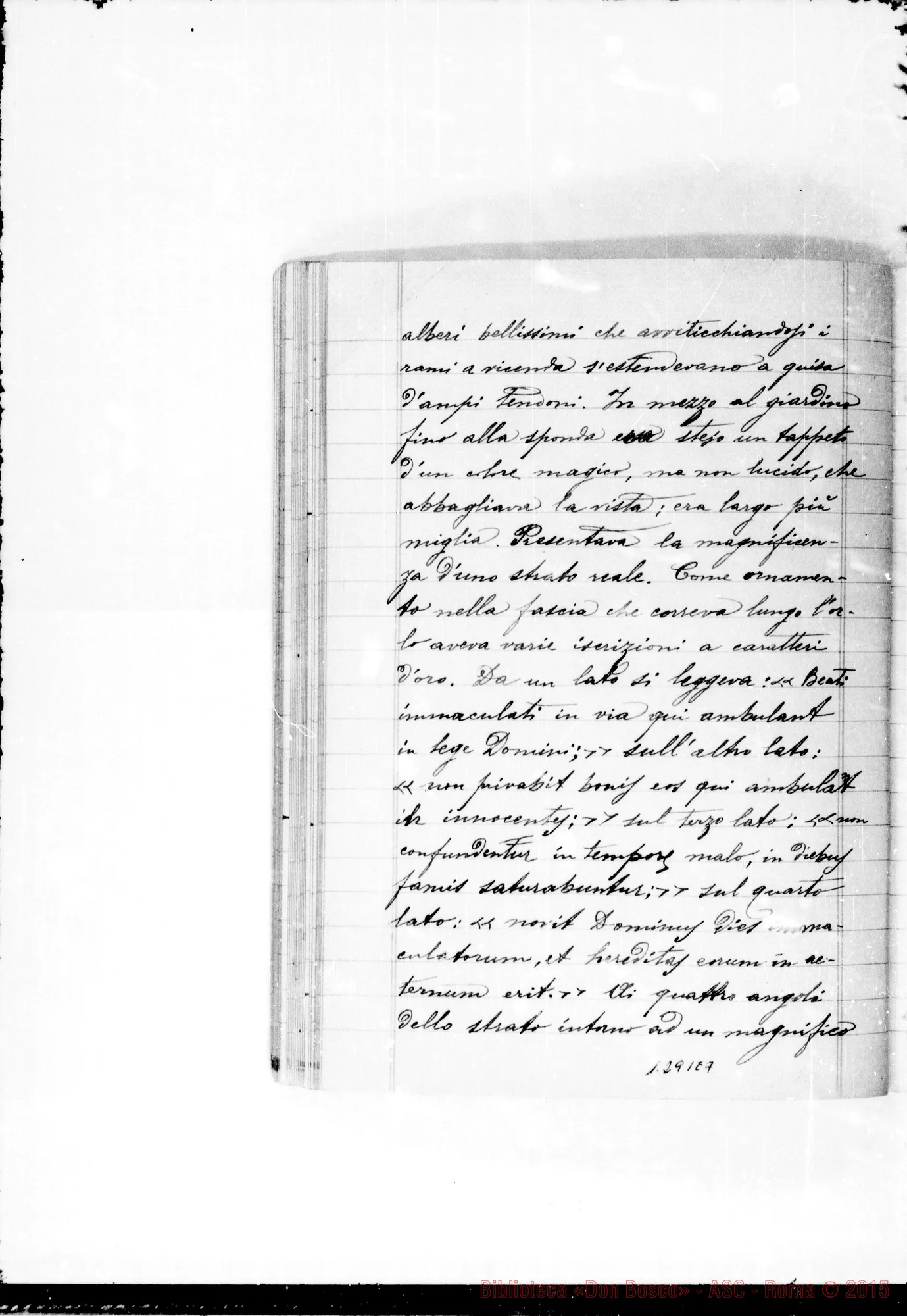 Fotogramma E 7