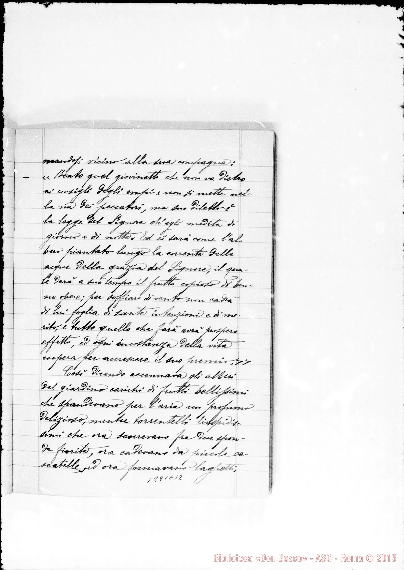 Fotogramma E 12