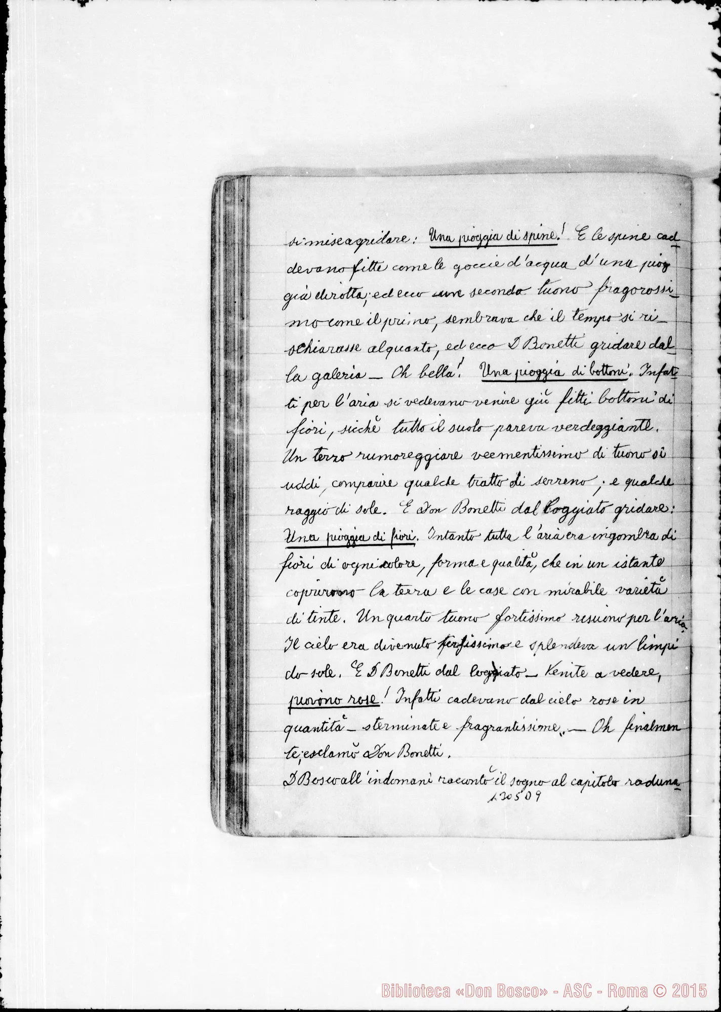 Fotogramma D 9