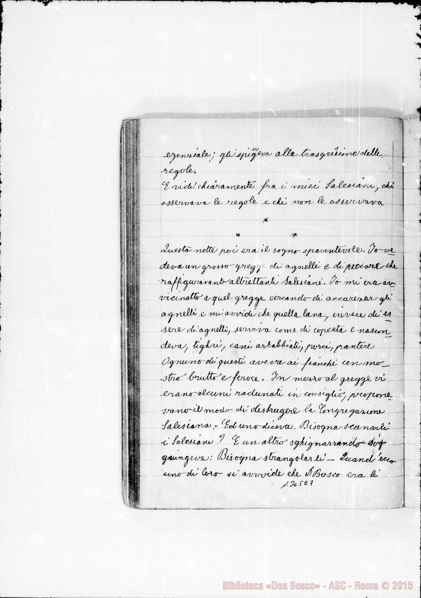 Fotogramma E 7