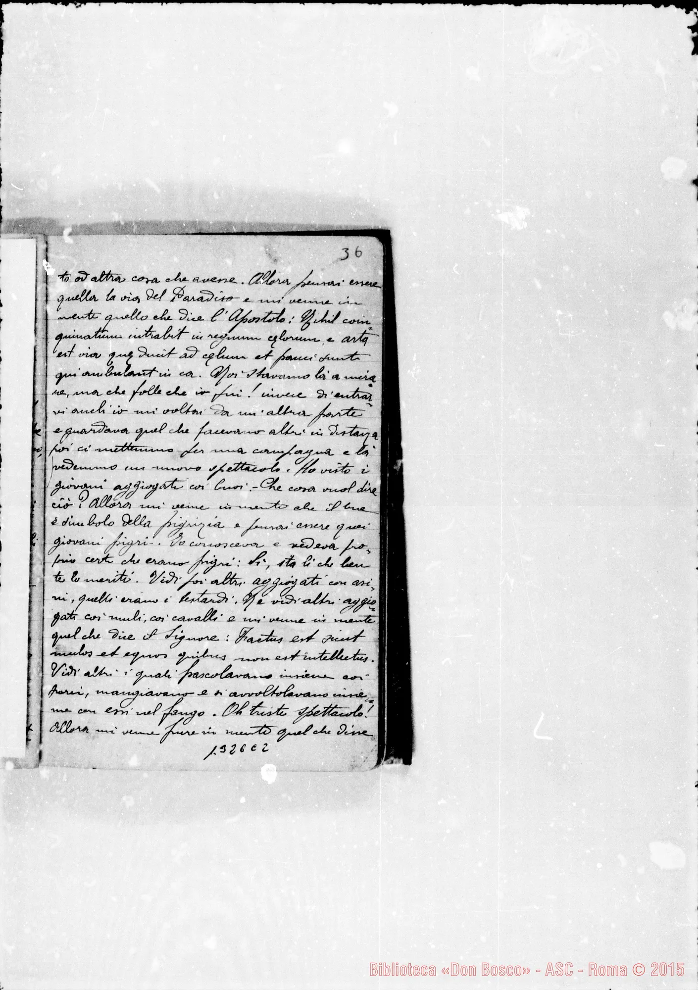 Fotogramma C 2