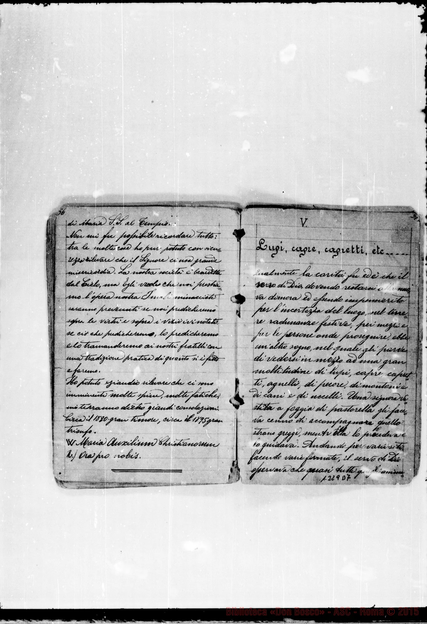 Fotogramma D 7 — Piccollo Francesco, sac. SDB: «Quaderno con sogni di D. Bosco…»