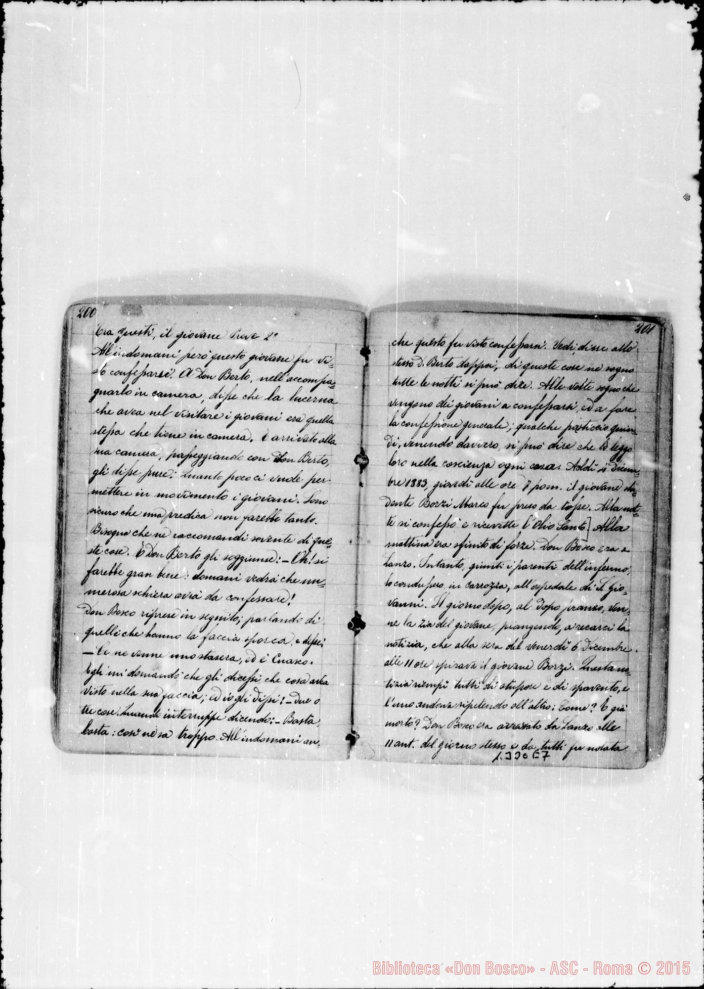 Fotogramma E 7