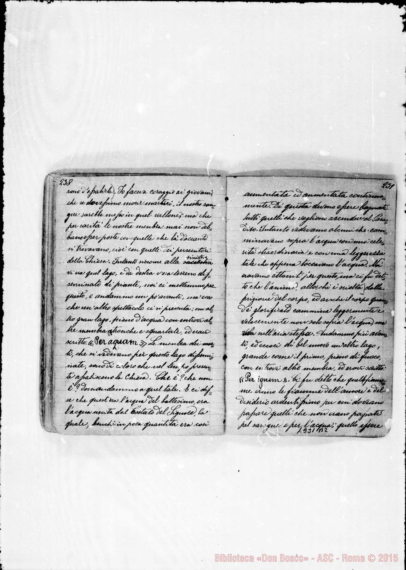 Fotogramma B 2