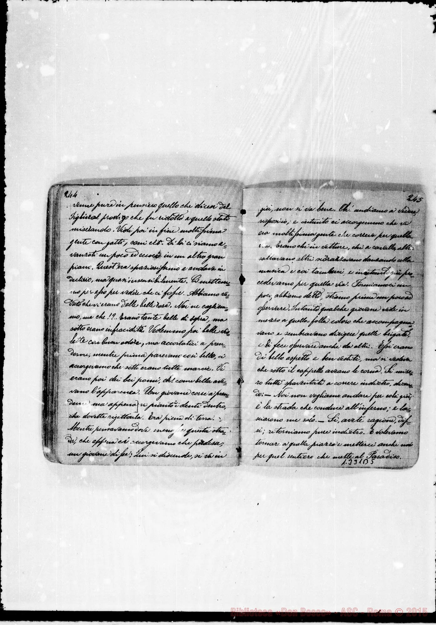 Fotogramma B 5