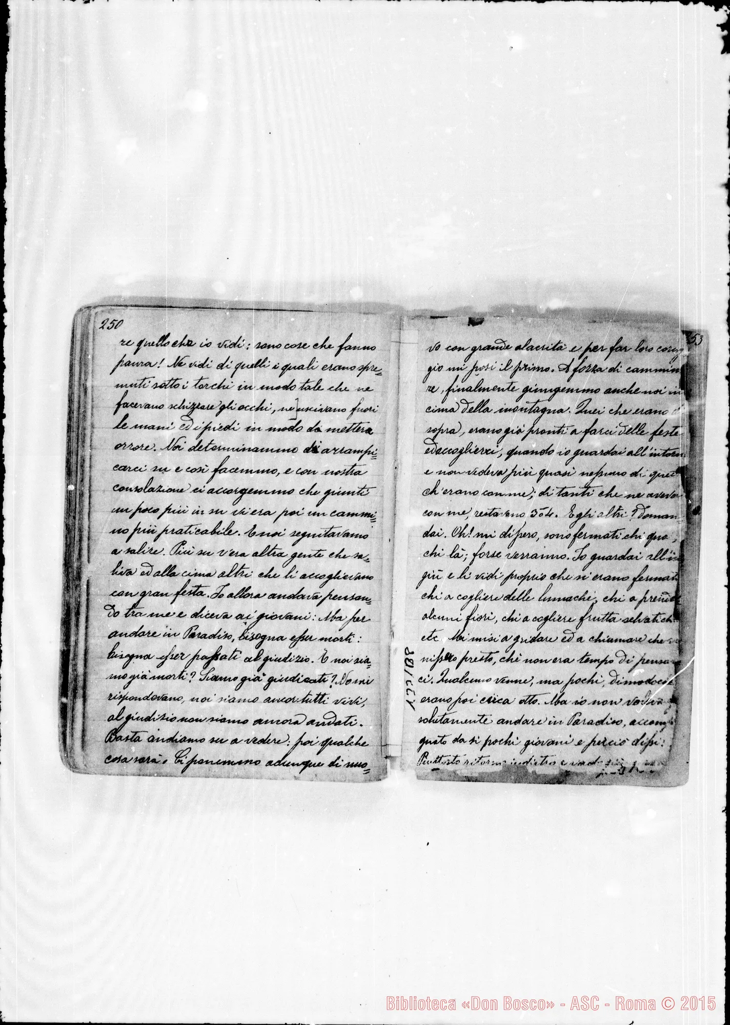 Fotogramma B 8